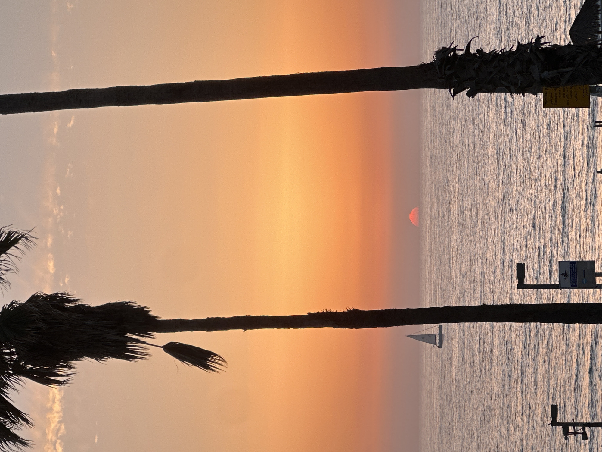 The image shows a sunset over the Mediterranean Sea, framed by the silhouettes of two palm trees. The setting sun is visible as a red orb on the horizon. A small sailboat is visible on the water. The scene appears to be from a beach in Tel Aviv, Israel, based on the beach signage and the style of the palm trees.
