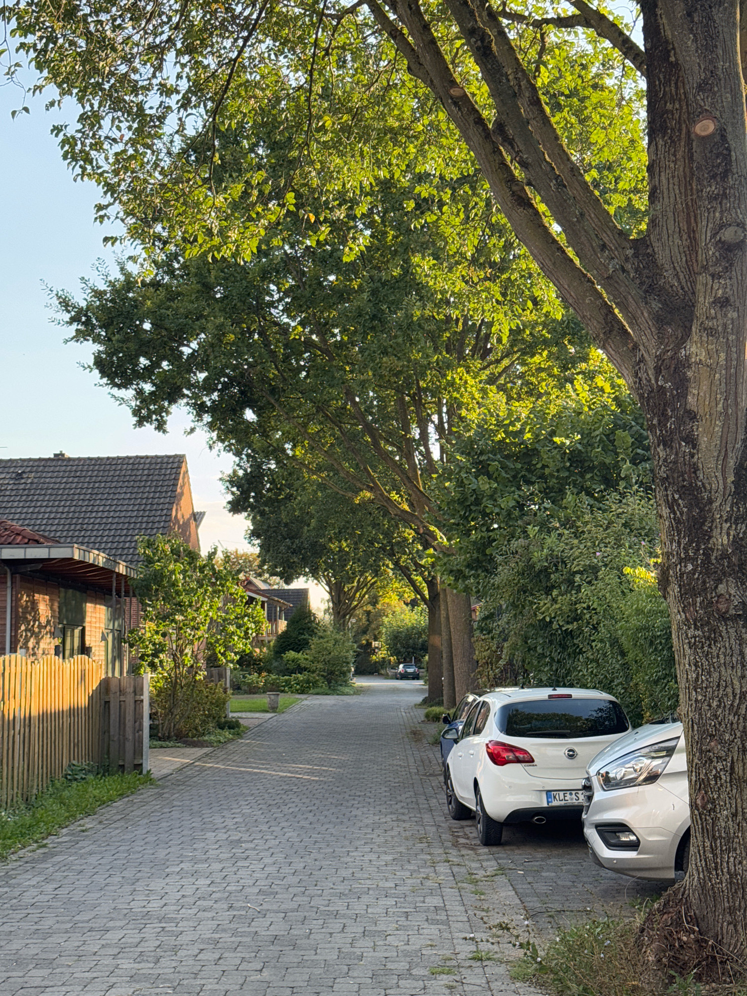 The image depicts a street scene in Cleves, Germany, under clear skies. The street is paved with interlocking grey bricks. On the left side of the street, a light brown wooden fence runs alongside a building with a dark grey tiled roof. Lush green trees with dappled sunlight filtering through their leaves line the right side of the street, partially obscuring a dense green hedge. Two cars are parked on the right side of the street: a white Opel Corsa with a license plate reading "KLE S 119" is parked closer to the foreground, and a silver vehicle, possibly a van, is parked beside it. Further down the street, another dark-colored car is visible in the distance. The overall impression is a quiet residential street bathed in the warm light of late afternoon or early morning.