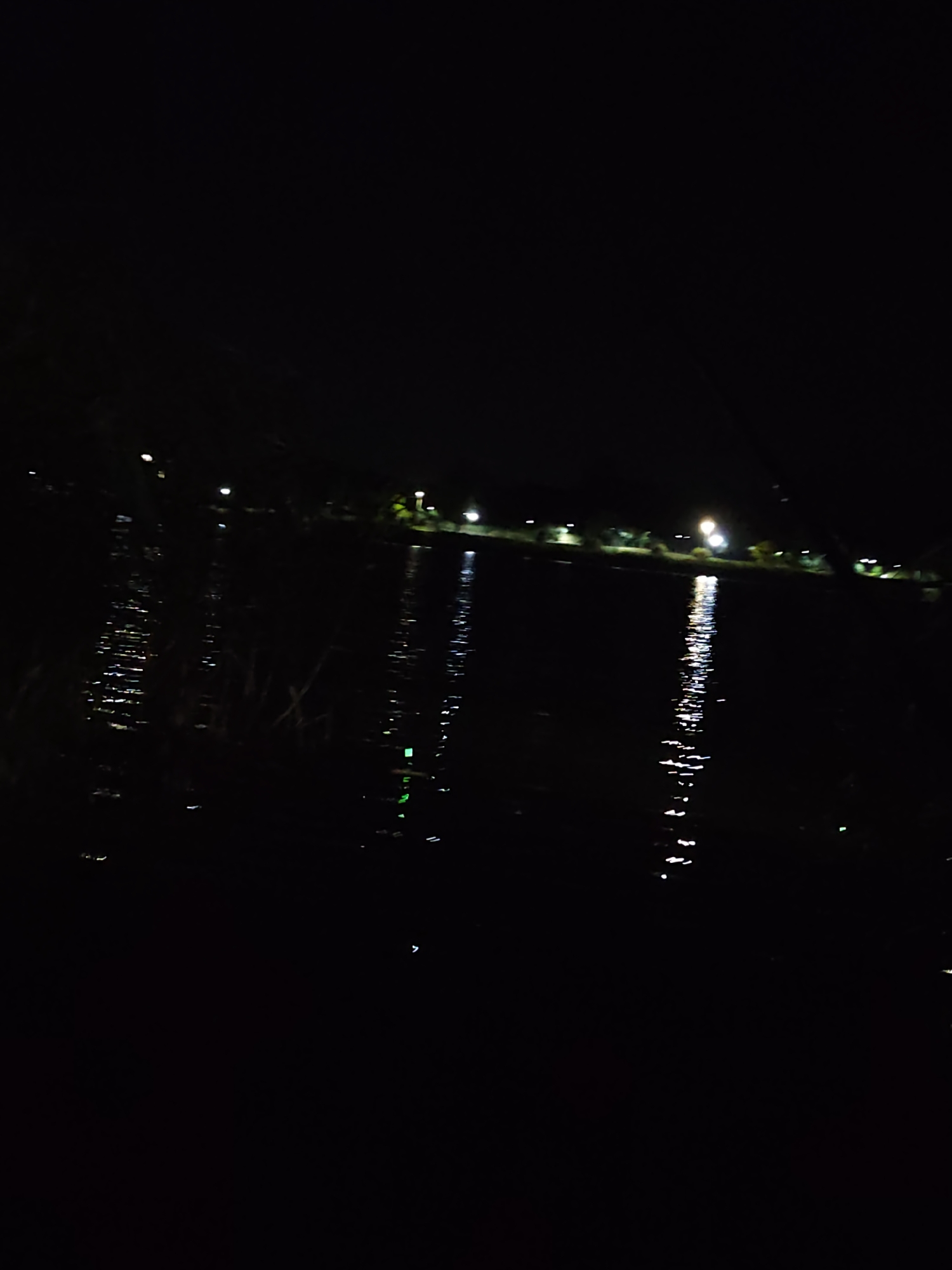 The image depicts a dark night scene with a body of water reflecting distant lights. The lights appear to be from street lamps or buildings along a shoreline, suggesting an urban or semi-urban environment. The reflections on the water are elongated and wavy due to the movement of the water's surface. The foreground is very dark, with some indistinct shapes that could be vegetation or the edge of the land. The overall impression is one of a quiet, possibly evening or nighttime setting. Without further information or visible landmarks, it is impossible to pinpoint the exact location within the city of Bălți, Moldova.