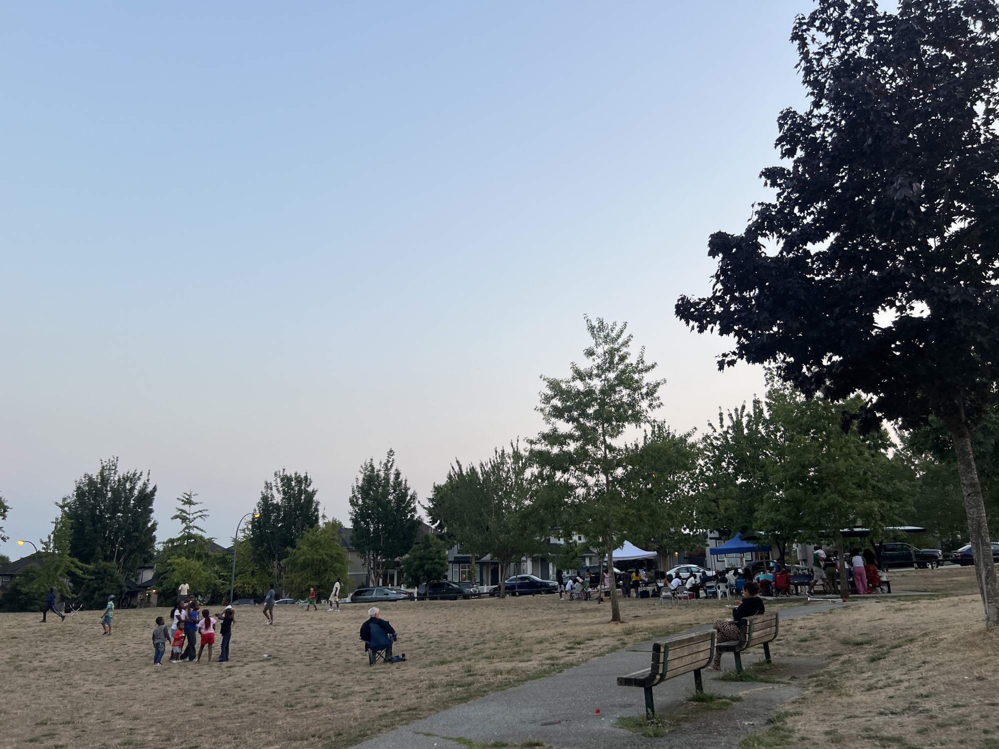 This is an outdoor scene at a park, likely in Surrey, Canada, during the late afternoon or early evening. The sky is a clear gradient of pale blue to light gray, indicating twilight. The ground is covered in dry, yellowed grass, suggesting a warm season.
In the foreground, two wooden park benches are visible, one with a person sitting on it, wearing leopard-print pants and holding something in their hands. To the left and further back, an elderly person sits in a blue camping chair.
A group of children are gathered in the middle ground, appearing to be interacting or playing. Several adults are also present throughout the park. In the background, there are houses with trees lining the street. Further to the right, several white tents or canopies are set up, and tables with chairs suggest a gathering or event is taking place. Cars are parked along the street behind the gathering. Tall trees are scattered throughout the park, with a large, dark-leaved tree dominating the right side of the frame, casting shadows. The overall atmosphere appears relaxed and communal.
