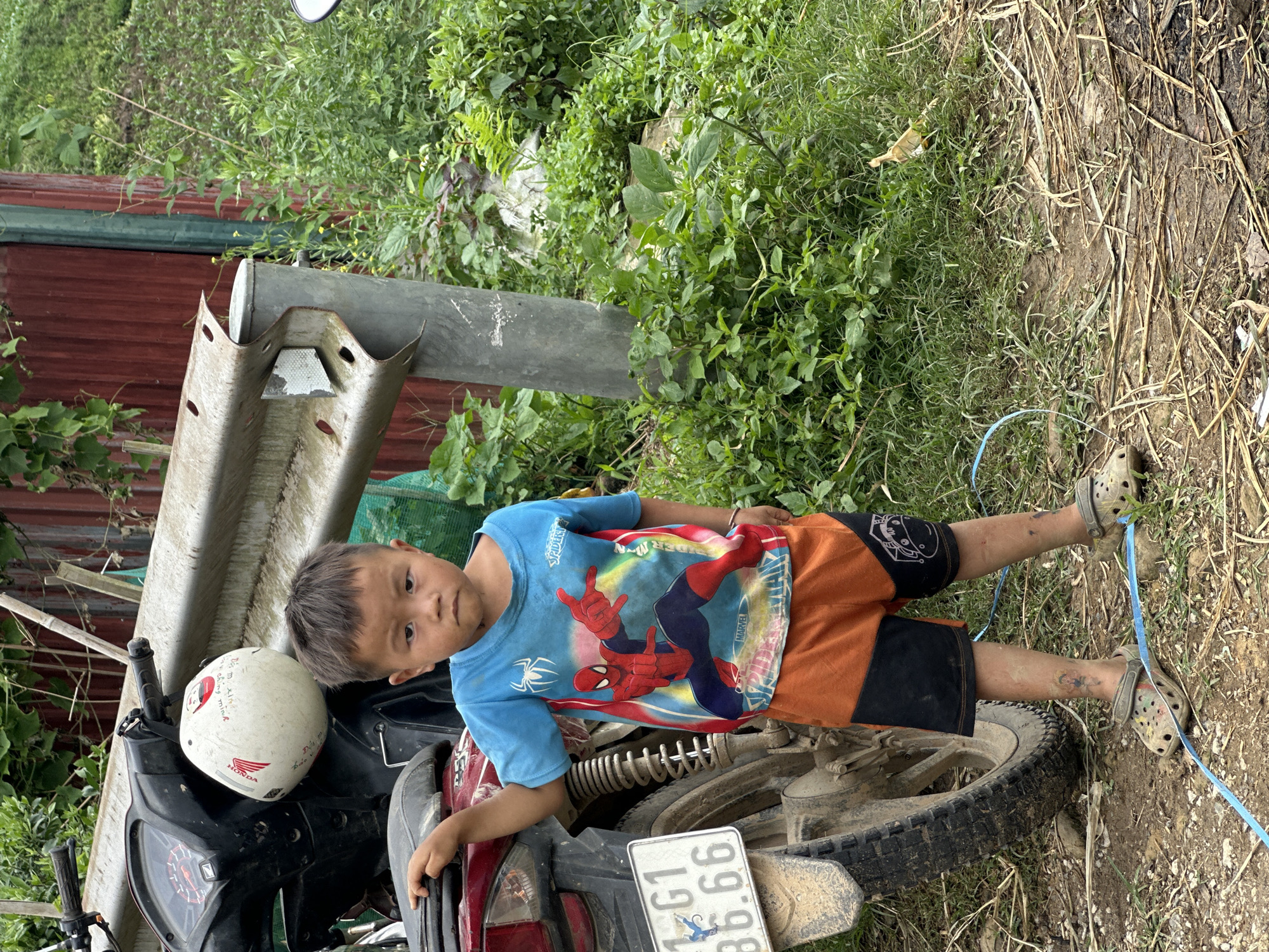 A young East Asian male, appearing between four and seven years old, stands outdoors in Mù Cang Chải, Vietnam. He has dark, short hair and dirt smudges on his forehead, cheeks, and lower legs, where faint temporary tattoos are also visible. He is dressed in a blue short-sleeved t-shirt featuring a red and blue Spiderman graphic with "MARVEL" and "SPIDER-MAN" text, orange and black shorts with a white stylized graphic on the right outer thigh, and soiled grey-green Crocs-style clogs. A light blue ribbon or string is present on the ground around his left foot.
The boy's left hand rests on the rear seat of a dark-colored Honda scooter-style motorcycle, which displays a white license plate with the registration "G1 86.66" on its muddy rear fender. A white helmet with a red Honda wing logo and handwritten text, including "XINH", hangs from the motorcycle's handlebars. Behind the boy and motorcycle, a weathered, corrugated metal guardrail with a white reflective strip is affixed to a grey cylindrical post. Further back, a red-brown corrugated metal wall with a vertical green strip is partially visible behind dense green foliage. The ground is uneven, composed of dirt and mud, with scattered dry leaves, twigs, and various green plants and grasses. A yellow-brown plastic object is partially obscured by grass on the right side of the frame.
