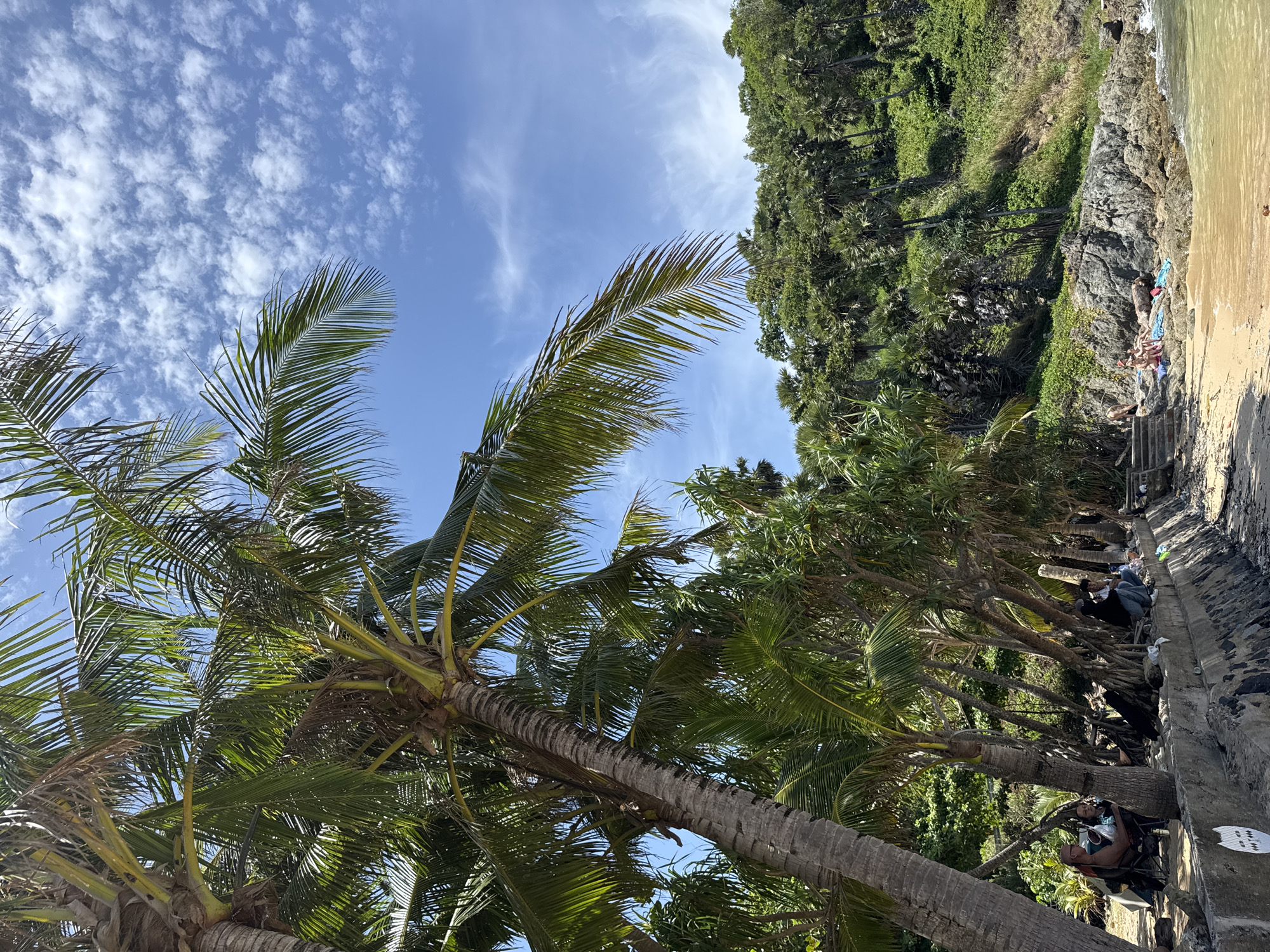 In Rawai, Thailand, on a sunny day, the scene depicts a tropical beach setting. The foreground is dominated by a line of palm trees, their fronds casting dappled shadows. Beneath the trees, several people are seated on chairs or the ground, some appearing to be resting or socializing. A concrete sea wall runs along the edge of the beach, with some debris scattered near it. Beyond the palm trees, a rocky shoreline meets the ocean, and a lush green hillside covered in vegetation rises in the background. The sky is a bright blue with scattered white clouds.