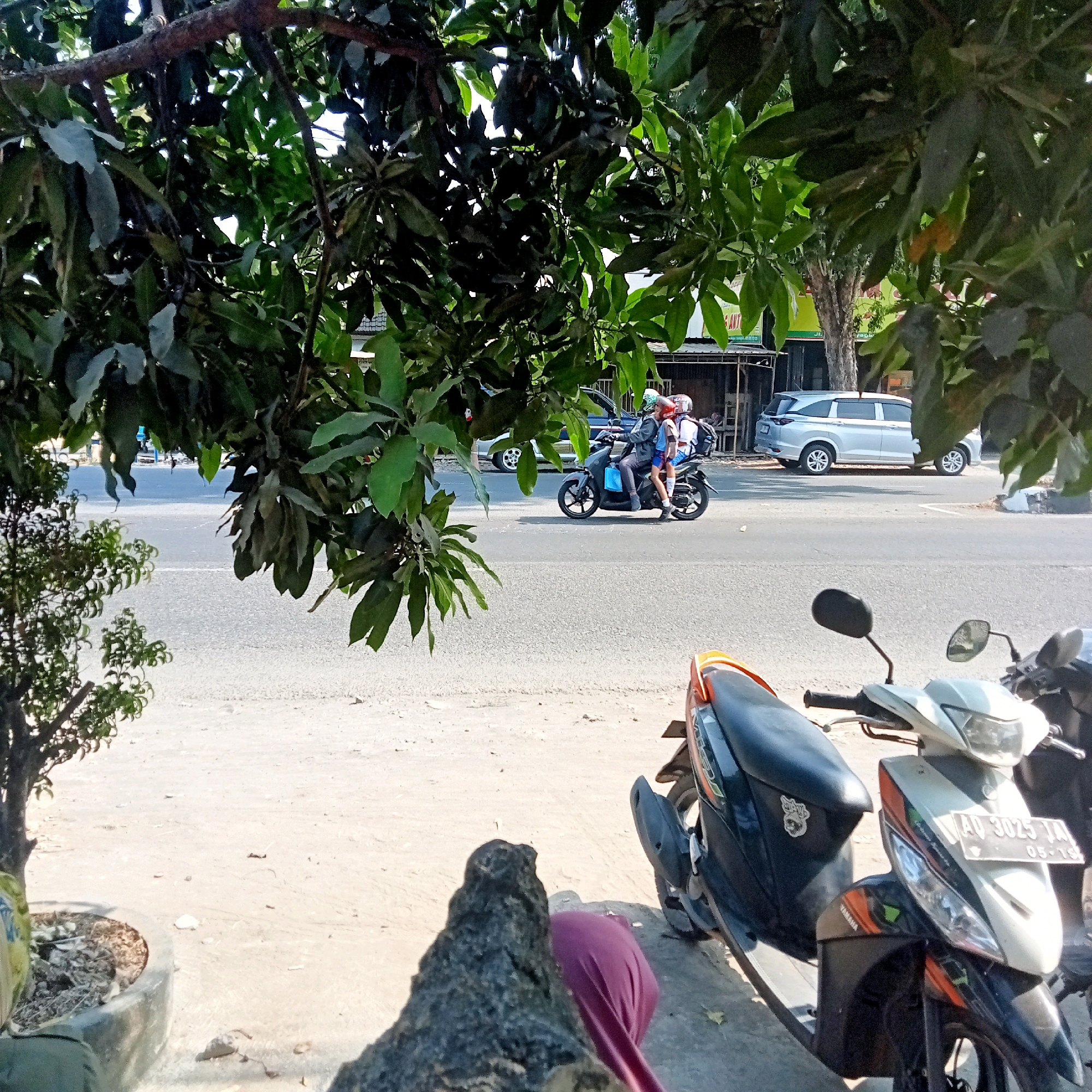 Memory