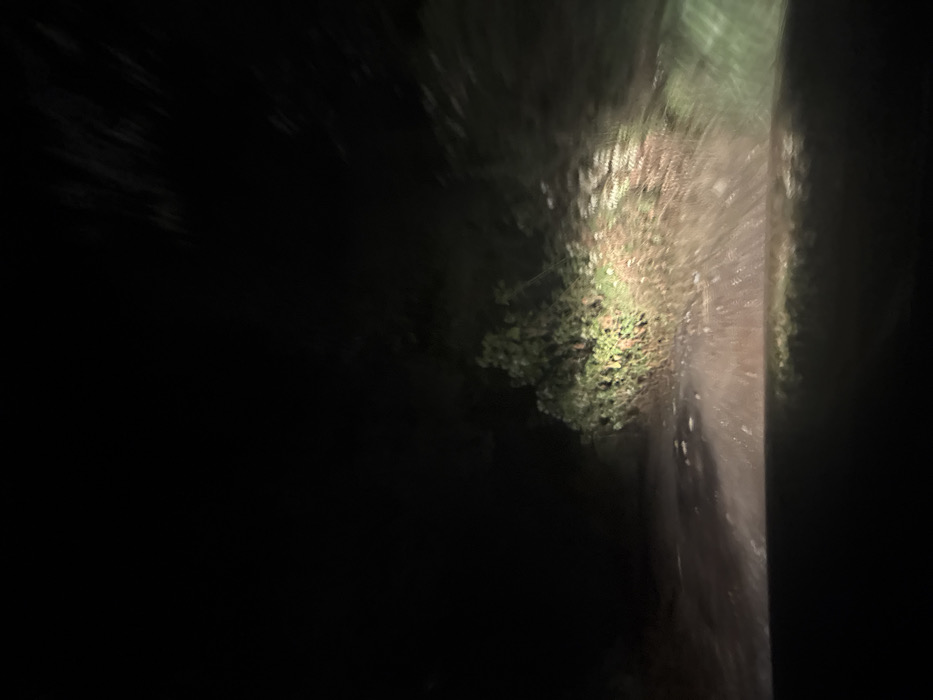 The image displays a nighttime scene on an unpaved road, observed from a low vantage point consistent with the interior of a vehicle, in what is identified as La Marquesa, Mexico. The foreground is illuminated by a powerful artificial light source, presumably vehicle headlights. This light reveals a light brown, uneven road surface, indicative of dirt or gravel. Centrally positioned and illuminated is a dense bush with green foliage. To the right of this bush, a patch of lighter-toned vegetation, possibly dried, is visible. The upper and lateral areas of the frame are obscured by darkness, with indistinct dark shapes suggesting surrounding trees or dense vegetation. A dark, horizontal band occupies the bottom portion of the image, consistent with a vehicle's dashboard or hood. No individuals, specific man-made objects beyond the implied vehicle structure, or explicit actions or interactions are discernible within the frame. The environment is rural or natural.