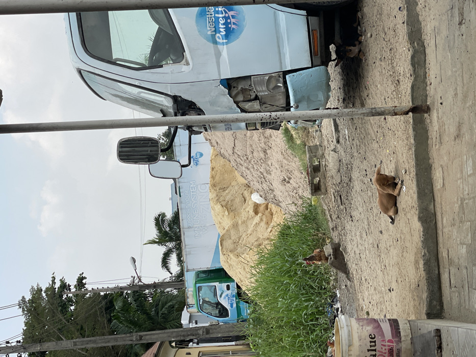 This image depicts an outdoor scene in Badore, Nigeria, characterized by an urban environment with elements of construction and animal presence under an overcast sky.
In the immediate foreground, a light blue truck occupies the right side, showing significant damage to its front bumper and headlight area, with paint peeling and a light blue substance patching the front. The "Nestle Pure Life" logo is visible on its door. Partially visible beneath this truck is a dark-furred dog lying down. A metal pole, likely part of a utility structure, stands in front of the truck on the right.
To the left of the foreground truck, a reddish-brown puppy lies on a dirt ground, seemingly interacting with a small piece of debris. Further left, a white paint bucket with the word "VALUE" visible is positioned on a paved curb.
In the mid-ground, a large pile of light brown sand dominates the center, with another, lighter-colored sand pile behind it. To the left of the sand piles, a brown chicken stands on a concrete block amidst tall green grass and scattered refuse. Behind the sand piles, a second light blue and green truck with a white cargo body is parked. Text on its side reads "SUPPORT YOUR IMMUNE SYSTEM WITH ZINC."
The background features residential structures, utility poles with overhead wires, a streetlight, and various trees, including palm trees, under a light grey, cloudy sky. The ground throughout the visible area is primarily unpaved dirt with scattered debris and concrete blocks.
