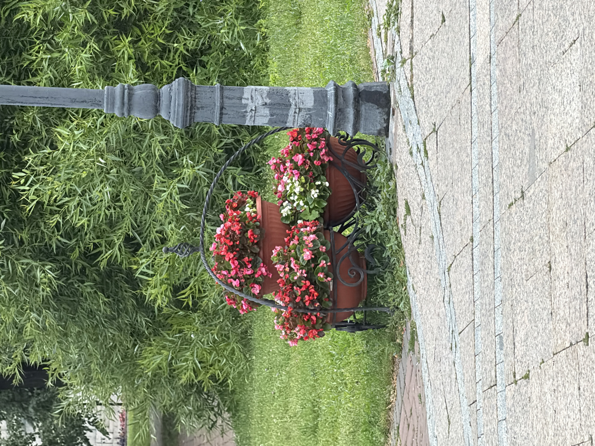 This media file features an outdoor scene, likely in a park or a well-maintained public space. The primary subjects are two decorative terra cotta planters filled with vibrant red, pink, and white flowers. These planters are supported by an ornate black metal stand, which is affixed to the base of a dark gray, classical-style lamppost. The lamppost itself has decorative, carved detailing, suggesting an older or traditional aesthetic.
The planters and lamppost are situated next to a paved walkway made of light-colored granite tiles. The tiling pattern is regular, with some areas showing wear or slight discoloration. To the left of the lamppost and planters, a lush, green lawn extends into the background. Behind the lawn, there is a dense cluster of green foliage, possibly a willow tree with its characteristic long, slender leaves.
The image appears to have been taken during daylight, likely in the morning or afternoon, with overcast or diffused lighting, as there are no strong shadows. The weather seems temperate and possibly humid, given the vibrant green of the grass and leaves. The overall impression is one of a peaceful and aesthetically pleasing urban landscape, perhaps designed for relaxation or walking.
There is no visible text in the image, nor are there any people or animals depicted. The focus is solely on the decorative elements and the natural surroundings. The location context provided, Ulyanovsk, Russia, suggests a European setting for this garden feature.