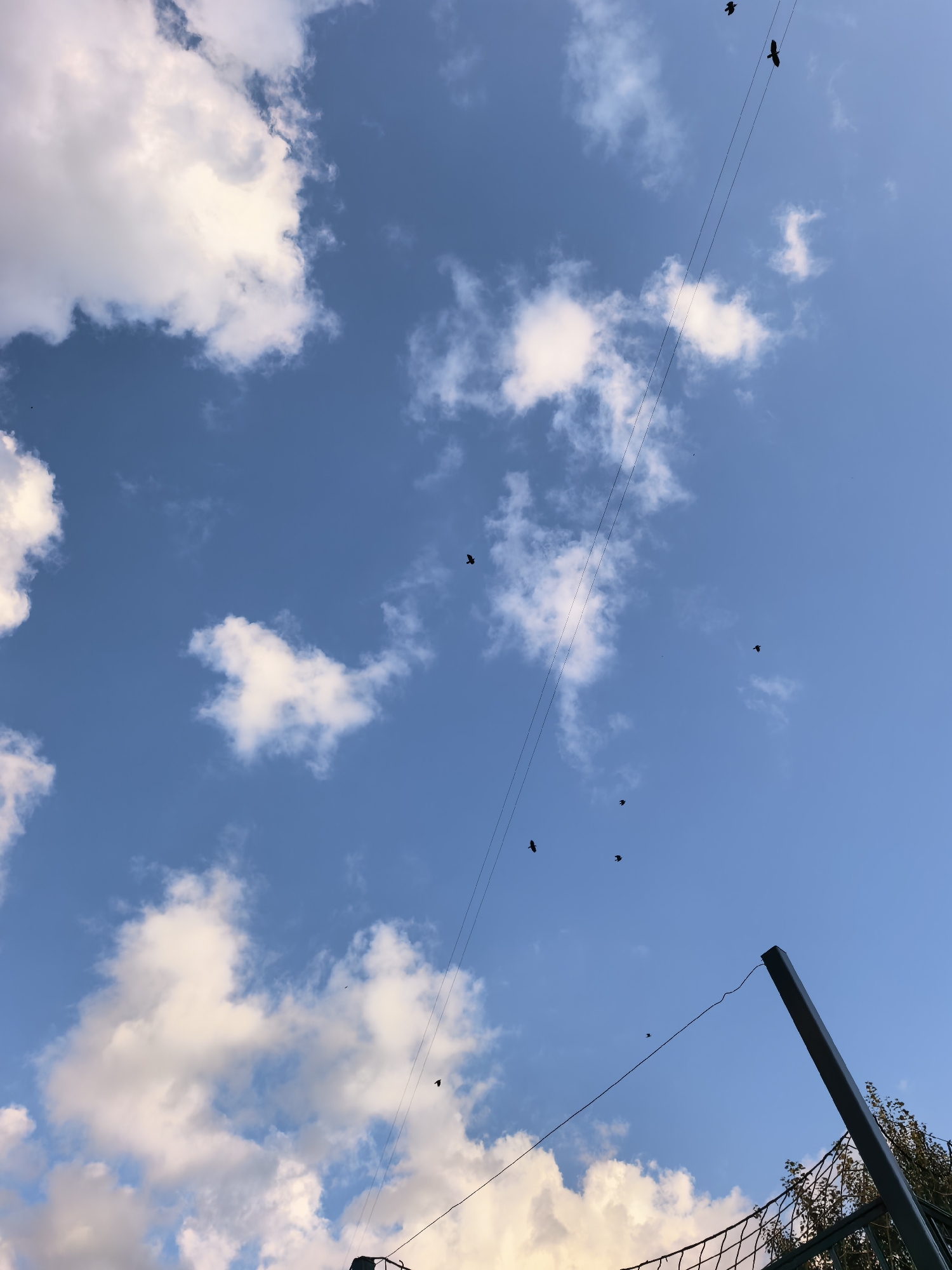 The image captures a clear blue sky dotted with white, fluffy clouds. Several birds are seen in flight against this backdrop. Two power lines run diagonally across the frame, also against the sky. In the lower right portion of the image, a section of a metal fence and a pole are visible, along with some green foliage. The scene appears to be an outdoor environment, possibly a park or an open area within the city of Sterlitamak, Russia.