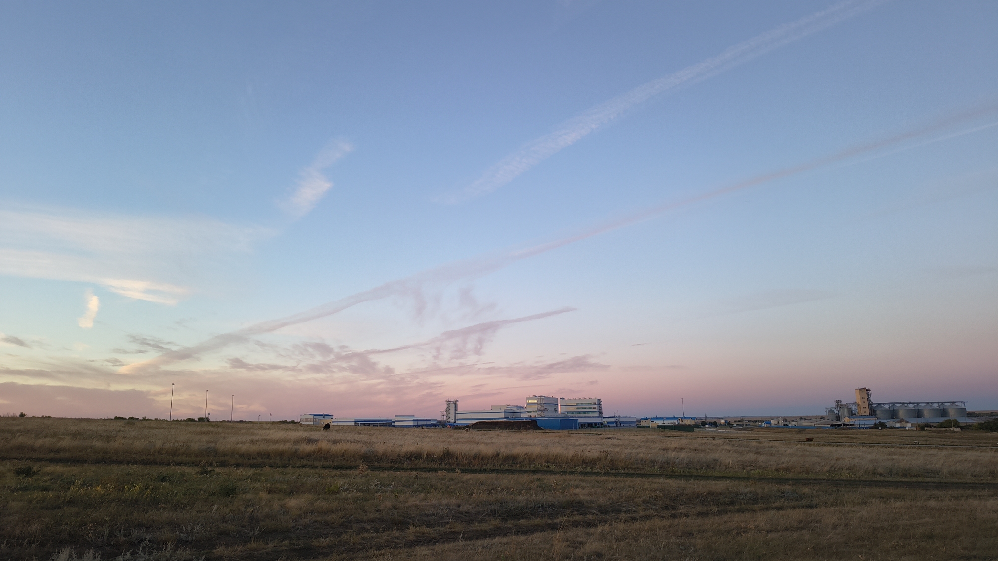 The image captures a wide view of a landscape at dusk, likely in or near Шарашенский, Russia, given the provided context. The sky is a gradient of light blue at the top, transitioning through soft pinks and purples towards the horizon, indicating the setting or rising sun. Several wispy clouds, some tinged with pink, are scattered across the sky, with distinct contrails from aircraft visible as thin white lines.
The foreground consists of a dry, grassy field, appearing somewhat unkempt with patches of darker earth showing through. A faint track or path runs horizontally across the field. In the mid-ground, a low-lying industrial complex is visible, characterized by a series of interconnected buildings with blue roofs and white or light-colored facades. Some of these structures appear to be large warehouses or manufacturing facilities. To the right of this complex, a cluster of grain silos, also with a predominantly gray or silver appearance and topped with what appears to be a control tower or processing unit, stands tall. Several lampposts with slender poles are scattered across the landscape between the field and the industrial buildings. A small, dark-colored object, possibly a vehicle or a person, is faintly visible near the industrial buildings. The overall impression is one of rural or semi-industrial outskirts under a colorful twilight sky.