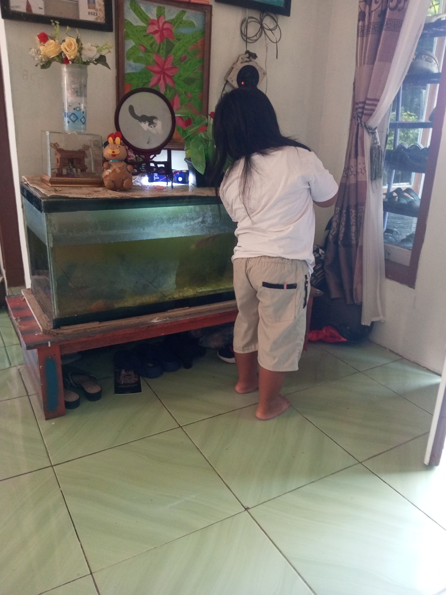 In Krasak, Indonesia, a young child with long, dark hair stands facing away from the camera, looking towards a fish tank. The child is wearing a white t-shirt and beige shorts. The fish tank, which is illuminated from below by blue lights, sits on a red and blue painted wooden stand. On top of the stand, next to the fish tank, are a stuffed rabbit, a small model house, and a vase of flowers. To the right of the fish tank, a curtain hangs beside a window, and a shelf unit with shoes is visible. The floor is tiled with light green tiles.