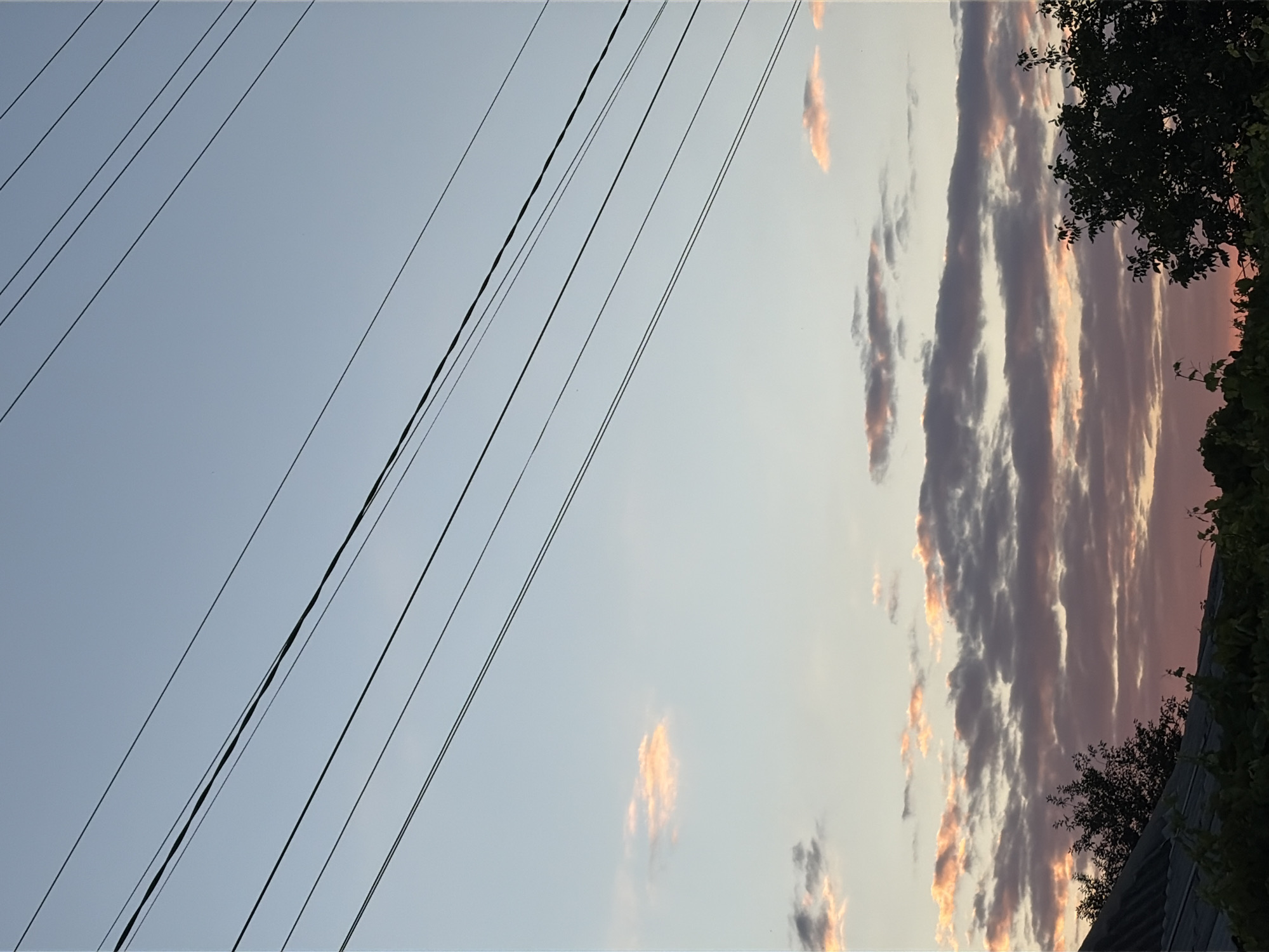 The image shows a view of the sky above Oxentea, Moldova, during what appears to be sunset. Several power lines stretch diagonally across the upper portion of the frame against a pale blue sky with a gradient towards lighter shades near the horizon. A few small, wispy clouds are scattered in the sky, some tinged with pink and orange from the setting sun. Below the sky, a line of dark green foliage and trees is visible, with the dark silhouette of a roofline partially obscured by the vegetation. The overall scene is tranquil and captures a natural, outdoor environment.