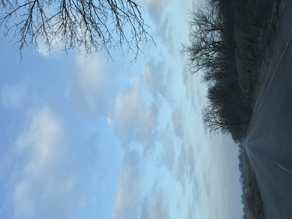 The image depicts a two-lane asphalt road in Градина, Bulgaria, extending longitudinally into the distance under a partly cloudy sky. The sky, occupying the upper two-thirds of the frame, is light blue with scattered white and light gray stratocumulus clouds. Bare, leafless deciduous tree branches are visible in the upper right quadrant, partially cropped, originating from trees lining the right side of the road. A dense line of similar bare trees and shrubs runs along the right shoulder, situated on a slightly elevated, grassy bank interspersed with patches of dry earth. The road surface appears worn, with a faded broken white line delineating the two lanes. To the left of the road, a wide, flat expanse of ground, possibly fallow fields, extends towards the horizon where faint, low-rise structures or buildings are visible in the far distance. No people, active vehicles, or specific human activities are observable. The lighting suggests either early morning or late afternoon conditions.