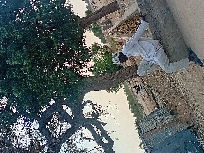 The image depicts an outdoor scene in what appears to be a dry, possibly rural or semi-urban environment. The ground is light brown and dusty.
In the foreground and midground, a large, mature tree dominates the left side of the frame. It has a thick, dark, gnarled trunk with substantial, twisting branches and dense green foliage. The tree's canopy extends high, with glimpses of a soft, light-colored sky visible through the leaves.
To the right of the tree, a man is positioned in a low squat or kneel next to a concrete wall or structure that runs diagonally across the midground. He is wearing a light-colored, long-sleeved tunic (possibly a thobe or similar traditional garment) and light-colored trousers. He also wears a white, patterned cap. His hands are placed on the top of the concrete structure. His posture suggests he might be resting, observing something at ground level, or engaged in an activity that requires him to be close to the ground.
Behind the man and near the base of the large tree, two small animals, likely goats or sheep, are visible. One is black, and the other is white or light-colored.
In the background, beyond the concrete structure and the animals, there are several small, rustic structures that appear to be made of corrugated metal or similar materials. These structures seem to be sheds or small dwellings. Further back, the landscape stretches out with more dry ground and sparse vegetation under a hazy, light sky, suggesting either early morning or late afternoon light. No text is visible in the image.