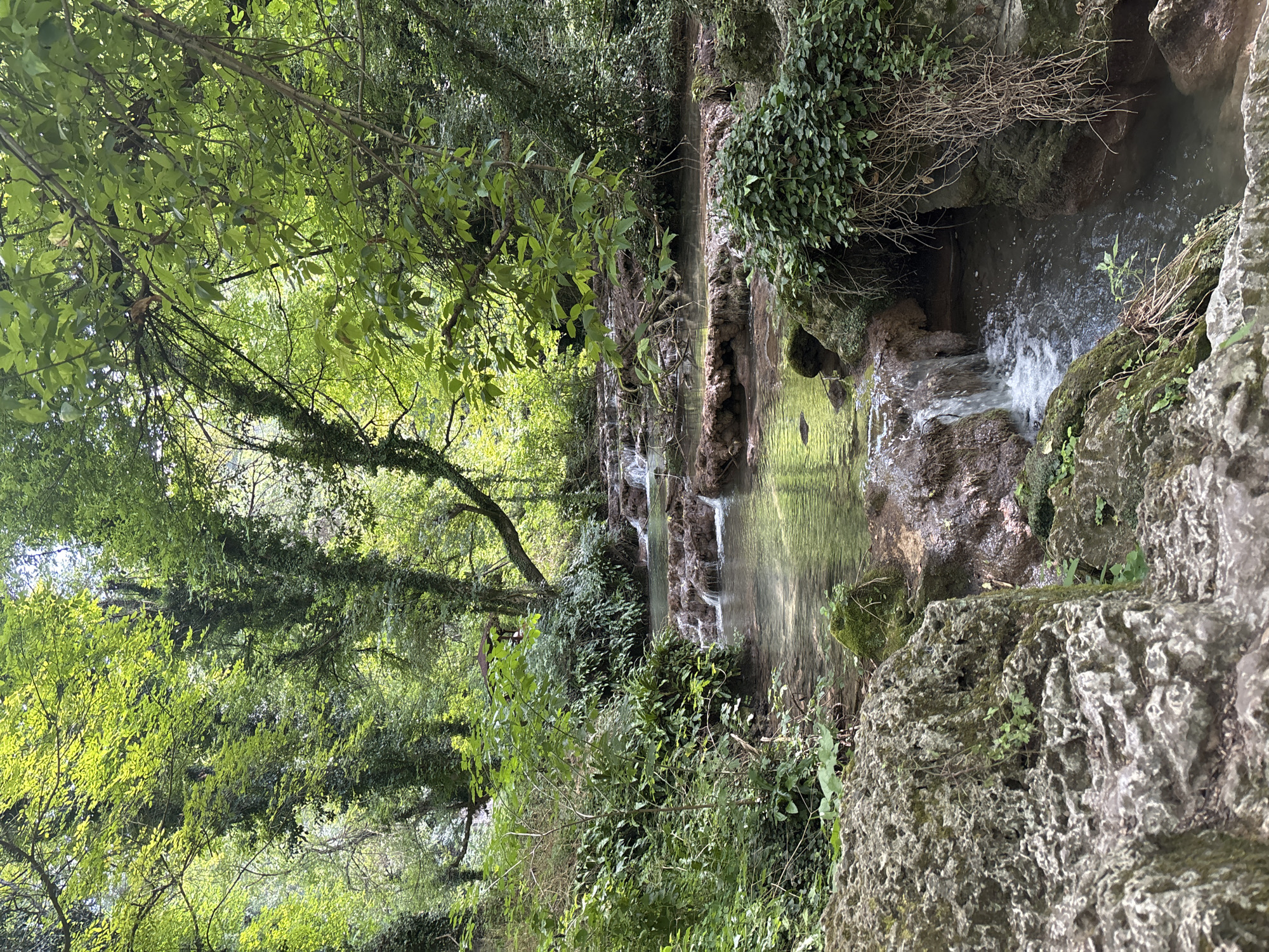 The image shows a cascading waterfall in a lush green forest, characteristic of the Krushuna Waterfalls in Krushuna, Bulgaria. The water flows over moss-covered rocks, creating a series of small, tiered waterfalls. Dense foliage, including trees, vines, and ferns, surrounds the water, with sunlight filtering through the canopy, illuminating the scene. The foreground features large, textured rocks, some covered in moss, leading down towards the water's edge. The overall environment is serene and natural, with no people or visible signs of human activity other than what appears to be a man-made pathway or structure suggested by the tiered nature of the falls.