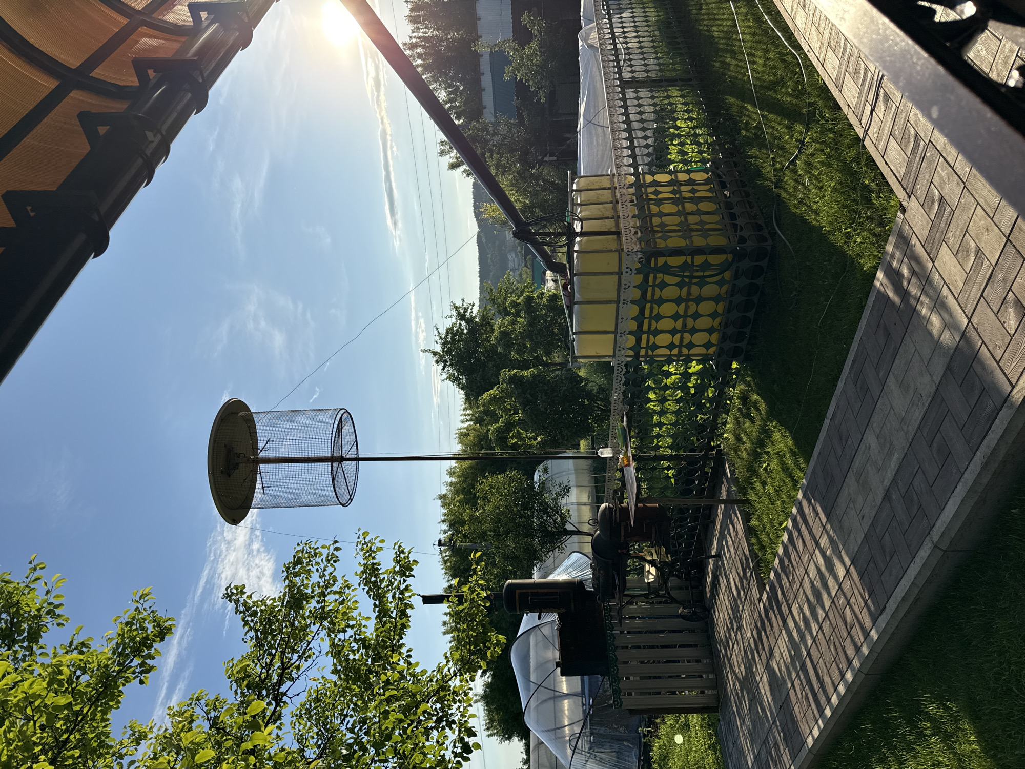 The image depicts an outdoor scene in the village of Kandry, Russia, on a sunny day with a clear blue sky. In the foreground, a paved pathway made of interlocking rectangular stones runs diagonally across the frame, casting long shadows from overhead foliage. To the left, a green lawn borders the path.
Dominating the midground are various objects related to outdoor living and gardening. A black smoker grill with a chimney stands next to a smaller barbecue grill. A wooden fence separates this area from the rest of the yard. Behind the grills, two large plastic greenhouses are visible. To the right of the grills, a tall, cylindrical wire cage with a domed top is mounted on a pole. Further to the right, a large, yellow, IBC tote tank, likely used for water storage, is enclosed by a decorative metal fence. A long, dark pipe extends from above, angled towards the tank.
The background features lush green trees and vegetation, suggesting a rural or suburban setting. In the far distance, a rolling landscape with some buildings can be seen. The sun is bright, positioned in the upper right corner of the frame, creating lens flare and illuminating the scene. The overall impression is one of a well-equipped backyard, possibly used for cooking, gardening, and outdoor activities. No people are present in the image.