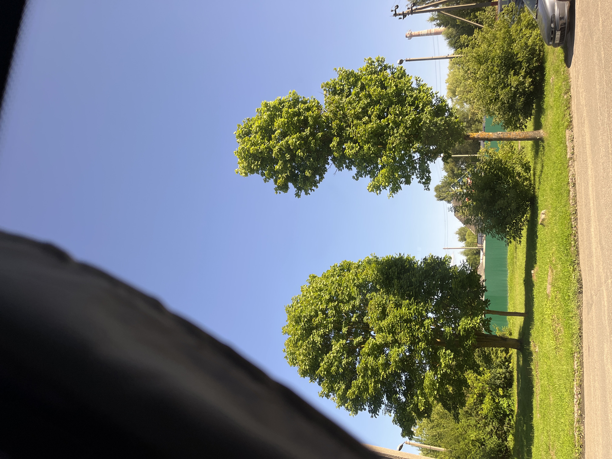 A high-angle, full shot captures a sunlit urban landscape in Pastavy, Belarus, on a clear day. In the foreground, a dark, blurred object obscures the upper left quadrant of the frame, likely a car's interior. Two lush green deciduous trees dominate the midground, with the tree on the left being wider and more rounded, while the tree on the right is taller and more slender with a distinct bend in its trunk. Between the trees, a vibrant green metal fence runs horizontally, separating the grassy area from what appears to be industrial structures and vegetation in the background, including two tall smokestacks. A silver car is partially visible on the right edge of the frame, parked on a paved road that runs along the bottom of the image. The ground is covered in bright green grass, indicating a well-maintained park or roadside area. The sky is a clear, bright blue.