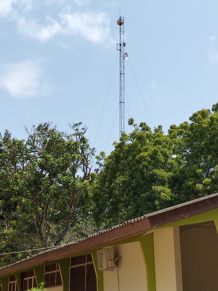 The image displays an outdoor scene in Waa Ngombeni ward, Kenya, under a partly cloudy blue sky. A tall, dark-colored lattice communication tower stands prominently, equipped with a slender top antenna, a circular dish antenna positioned near the top, and a lower, larger circular dish antenna. Several guy wires extend from the tower. Dense, green foliage from numerous trees fills the mid-ground and lower-left, partially obscuring the base of the tower. In the lower-right foreground, a portion of a building is visible, featuring a brown corrugated roof with a distinctive serrated edge and a brown fascia board. The building walls are painted in contrasting light green and off-white sections. An outdoor air conditioning condenser unit is mounted on an off-white wall section below the roofline. Multiple dark-framed windows are partially visible on the building's side. No individuals are present, and no active movements or interactions are depicted.