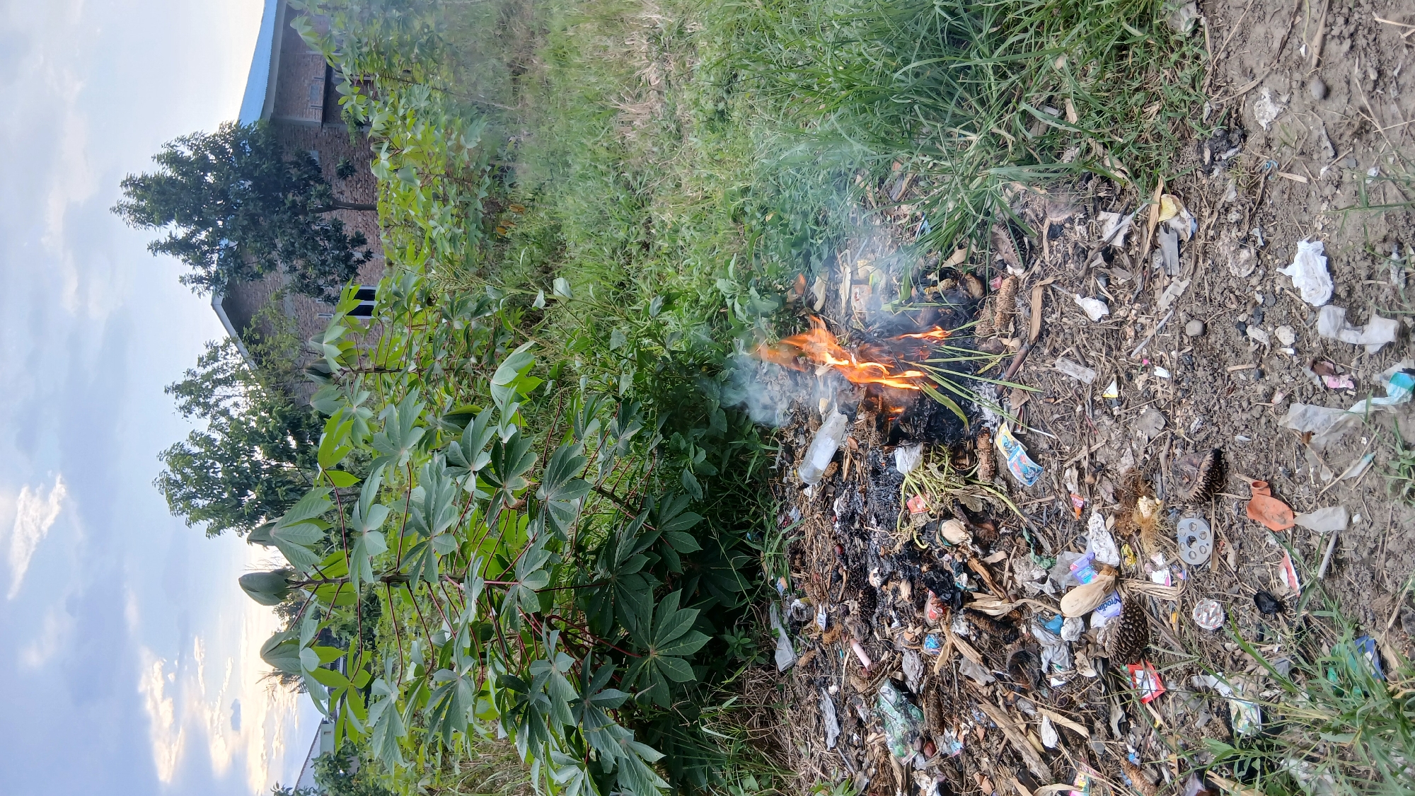 A pile of burning garbage is located in an outdoor area with lush green vegetation and a partially visible house in the background. The garbage appears to consist of various debris, including plastic, paper, dried leaves, and possibly organic waste. Flames and smoke are rising from the burning material. In the foreground, there are green leafy plants, and further back, trees and a building with a blue roof can be seen. The sky is partly cloudy, suggesting it might be evening or early morning. The scene appears to be an open lot in Klambir Lima Kebun, Indonesia.