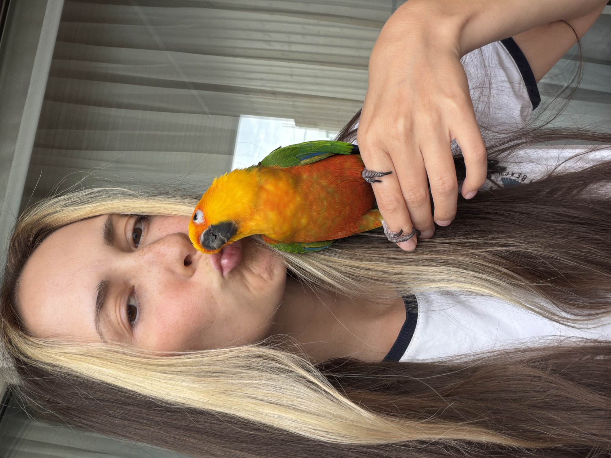 In a medium shot taken outdoors, a young woman with long brown hair with blonde highlights is shown from the chest up, making a kissing gesture towards a Sun Conure parrot perched on her left hand. The parrot, a small bird with bright orange, yellow, and green plumage, is facing the woman. The woman is wearing a white t-shirt with a black trim collar. Her expression is playful, with her lips pursed. The background consists of vertical blinds in a muted grey tone, suggesting an indoor setting near a window. The lighting is natural and diffused. The image appears to be a selfie. There is no discernible connection to the city of Khimki, Russia, or any specific urban environment.