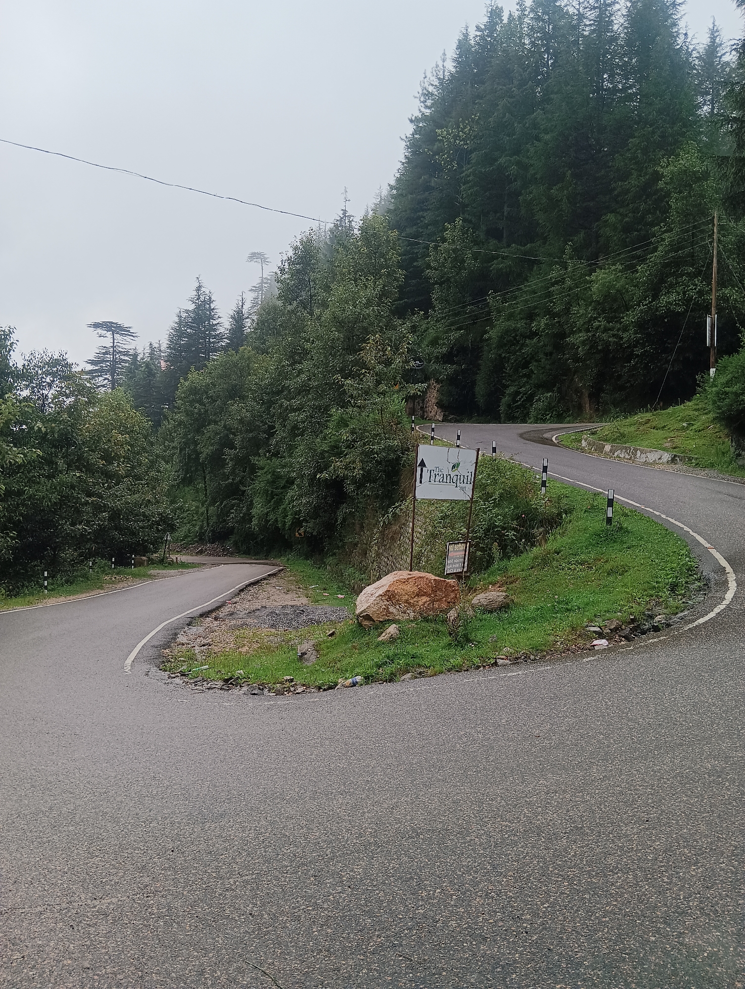 The image shows a winding road in Goshal, India, with dense green trees lining the sides. The road is paved and appears to be in good condition. There are several white and black bollards along the side of the road. A signpost for "The Tranquil Inn" is visible on the left side of the road, with an arrow indicating a direction. A large boulder is situated near the signpost. The sky is overcast, suggesting a cloudy or misty day. The overall scene depicts a serene and natural environment on a mountain road.