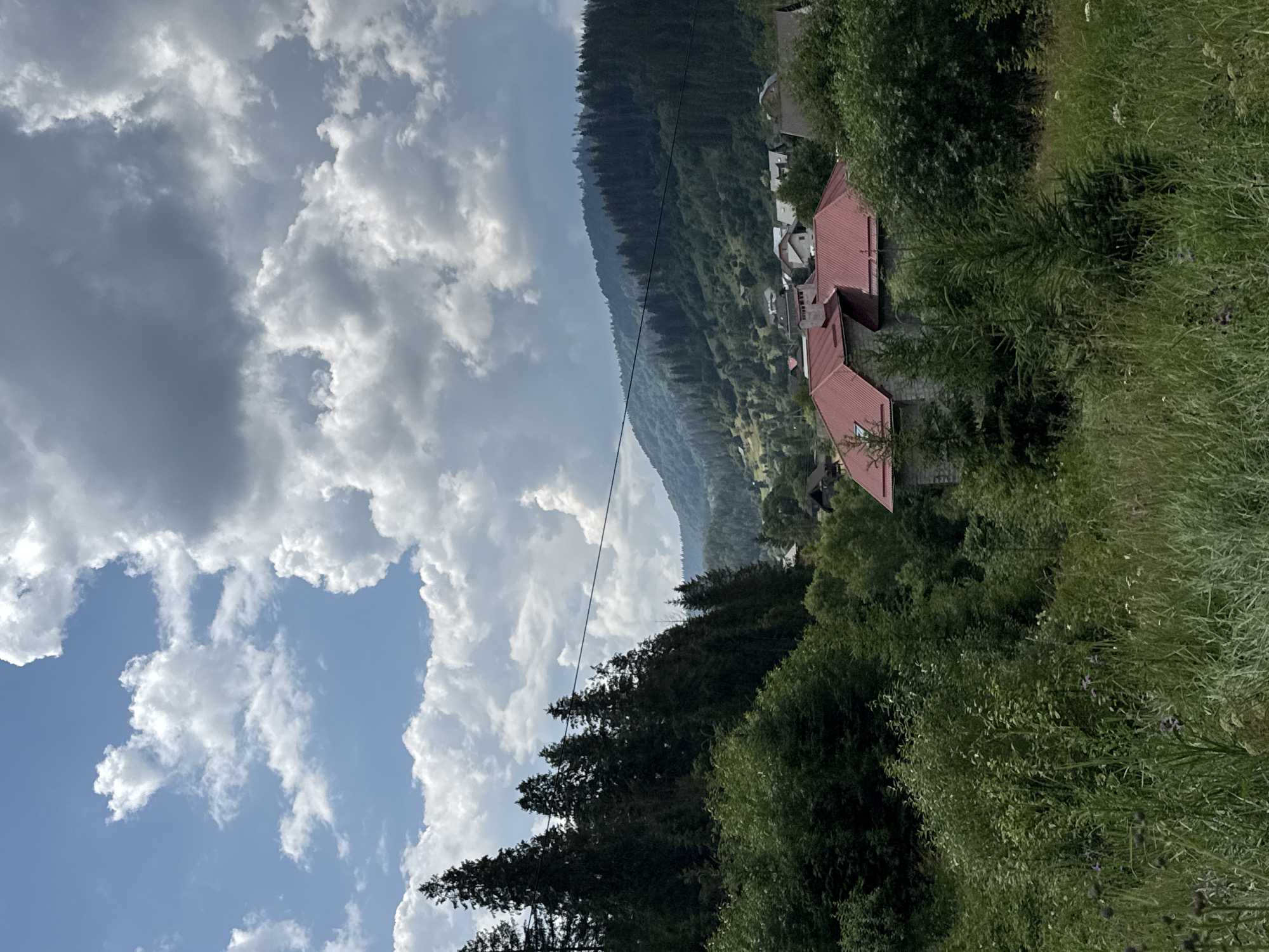 This is a landscape photograph taken in Slavsko, Ukraine. The scene depicts a rural mountainous area with lush green vegetation and a cluster of buildings. In the foreground, tall grasses and various plants, including some with purple flowers, dominate the view. Behind the foreground vegetation, a house with a prominent red tile roof and stone walls is visible, partially obscured by trees.
Further in the background, a village with several red-roofed houses is nestled within a valley. The village is surrounded by dense, dark green coniferous forests that cover the rolling hills and mountains. The mountains extend into the distance, with the farthest peaks appearing misty and hazy under a partly cloudy sky. The sky itself is a mix of blue patches and large, dramatic white and gray clouds, suggesting a dynamic weather system. A power line stretches diagonally across the upper portion of the image, from the left side towards the center-right. The overall impression is one of a serene, natural environment with human habitation integrated into the landscape.