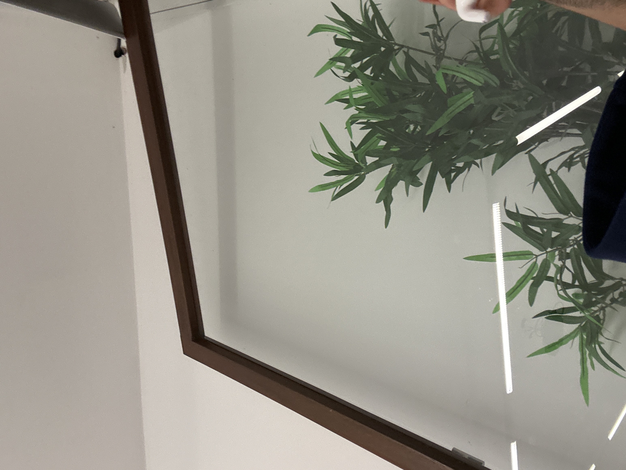 The image presents an interior scene, observed through a clear glass partition framed by a dark brown or bronze-colored angular structure in the upper portion. The precise location within Guimarães, Portugal, cannot be determined from the visual evidence.
The environment behind the glass consists of a light-colored wall or ceiling. A prominent, lush green plant, likely artificial, with numerous slender, pointed leaves, is positioned against this light background. Two distinct, horizontally oriented, bright linear light fixtures are reflected on the glass surface, appearing to be situated behind or above the plant. A partial reflection of a third similar light is visible at the bottom right. In the upper right corner, a dark object, possibly part of a fan or another fixture, is partially visible against the light background.
At the far right edge of the image, a human hand with a light skin tone and a white-painted fingernail on the visible finger is present. The hand is holding a small, irregularly shaped, white, soft object, resembling a cotton ball or tissue. A section of dark blue fabric, possibly clothing or upholstery, is visible along the bottom edge of the frame. No discernible actions or interactions beyond the static grip of the hand on the white object are depicted.