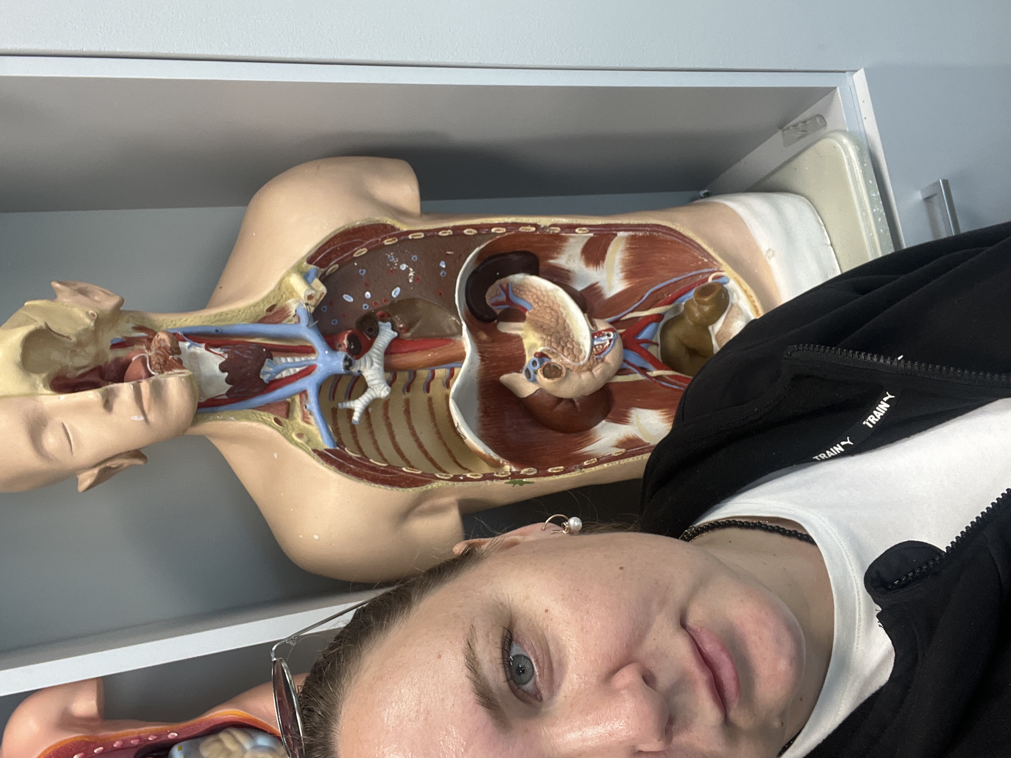 This image is a close-up selfie featuring a young person with a human anatomical torso model in the background. The person, appearing to be a woman, is positioned in the foreground, with her face occupying the lower portion of the frame. She has light-colored eyes and wears glasses pushed up onto her head. A small pearl earring is visible in her right ear. She is dressed in a black zippered hoodie over a white t-shirt. The word "TRAIN" is visible in white letters on the black hoodie's strap near her collar, partially repeated. Her expression is neutral.
Behind her, filling the upper and central parts of the frame, is a detailed anatomical model of a human torso. The model displays various internal organs such as the heart, lungs, liver, stomach, and intestines, along with major blood vessels (depicted in red for arteries and blue for veins). The model is multi-colored and appears to be made of plastic or resin, commonly used for educational purposes.
The setting is an indoor environment, likely a classroom, laboratory, or study area, indicated by the presence of the anatomical model and what appears to be plain shelves or a wall in the background. The lighting is uniform, suggesting indoor artificial light. The original image is oriented sideways, implying the photo was taken with the camera rotated.