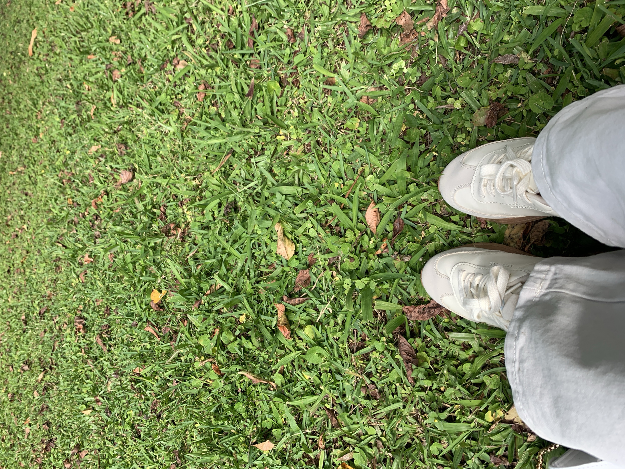 An overhead shot shows a person's feet, clad in light-colored pants and white sneakers, standing on a grassy area in Baturiti, Indonesia. The grass is a mixture of green blades and scattered brown leaves, indicating a natural outdoor setting. Sunlight casts shadows, suggesting it is daytime. The image is focused on the ground and the lower part of the person's legs and feet.