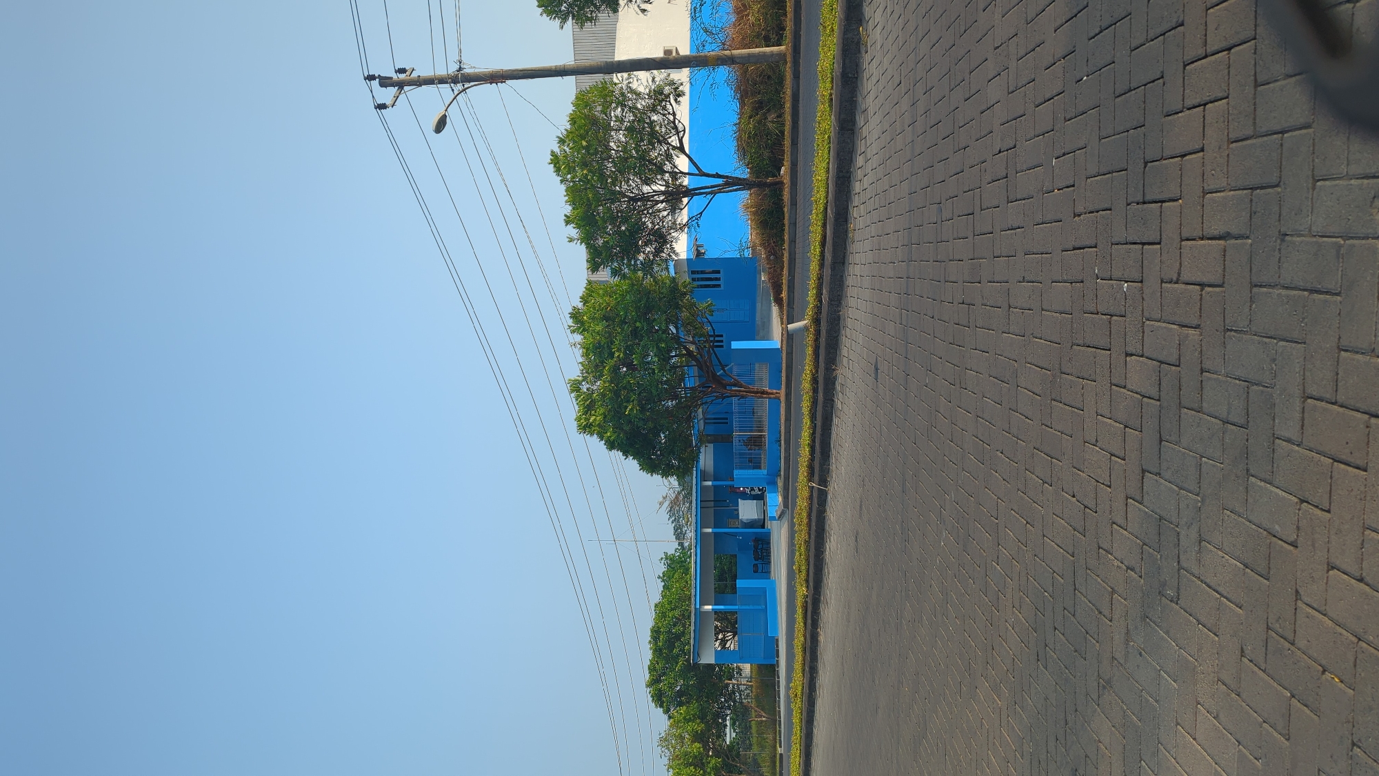 The image shows a bright, clear blue sky over a street in Semarang, Indonesia. In the middle ground, a low-rise, blue and white building with a covered walkway stands behind a neatly trimmed green lawn and a chain-link fence. Two mature trees with dense green foliage are positioned in front of the building. A paved sidewalk with a herringbone pattern of dark gray bricks extends across the foreground. A utility pole with several wires stretches vertically on the right side of the image. The overall scene depicts a well-maintained, possibly industrial or institutional area on a sunny day.