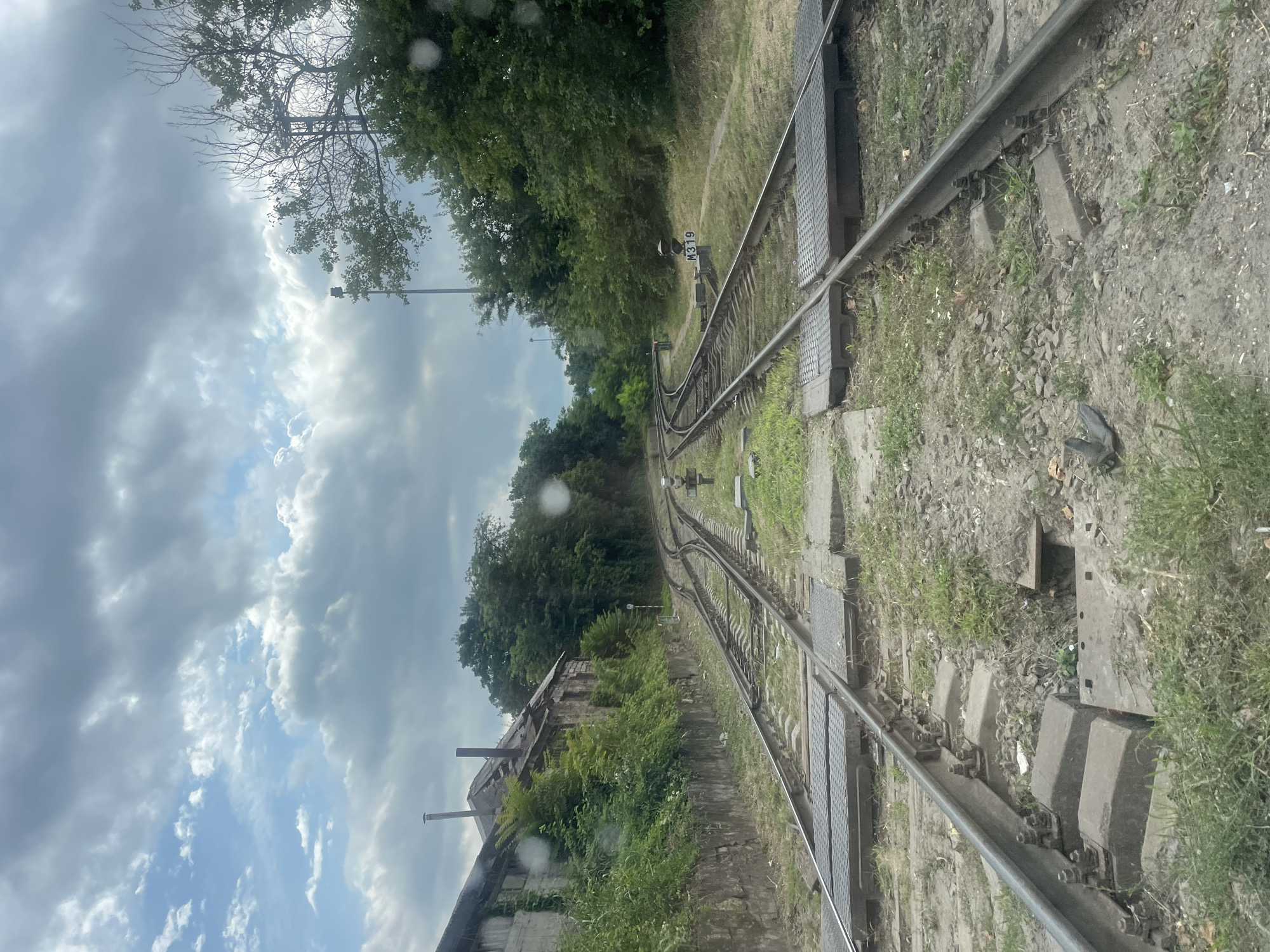The image depicts a railway switchyard in Novorossiysk, Russia, under a cloudy sky. Several sets of railroad tracks converge and diverge, indicating a complex junction. The tracks are laid on gravel and surrounded by overgrown grass. To the left, an old, weathered brick building with a damaged roof stands adjacent to the tracks, covered in ivy and vegetation. A concrete wall runs along the building. To the right of the tracks, a dense line of green trees forms a natural boundary. A signpost with "M319" is visible near the tracks on the right. The overall scene suggests a working but somewhat aged and overgrown industrial area. There are no people visible in the image. The image appears to be taken from a slightly elevated position, possibly from a train or elevated platform, looking down the tracks.
