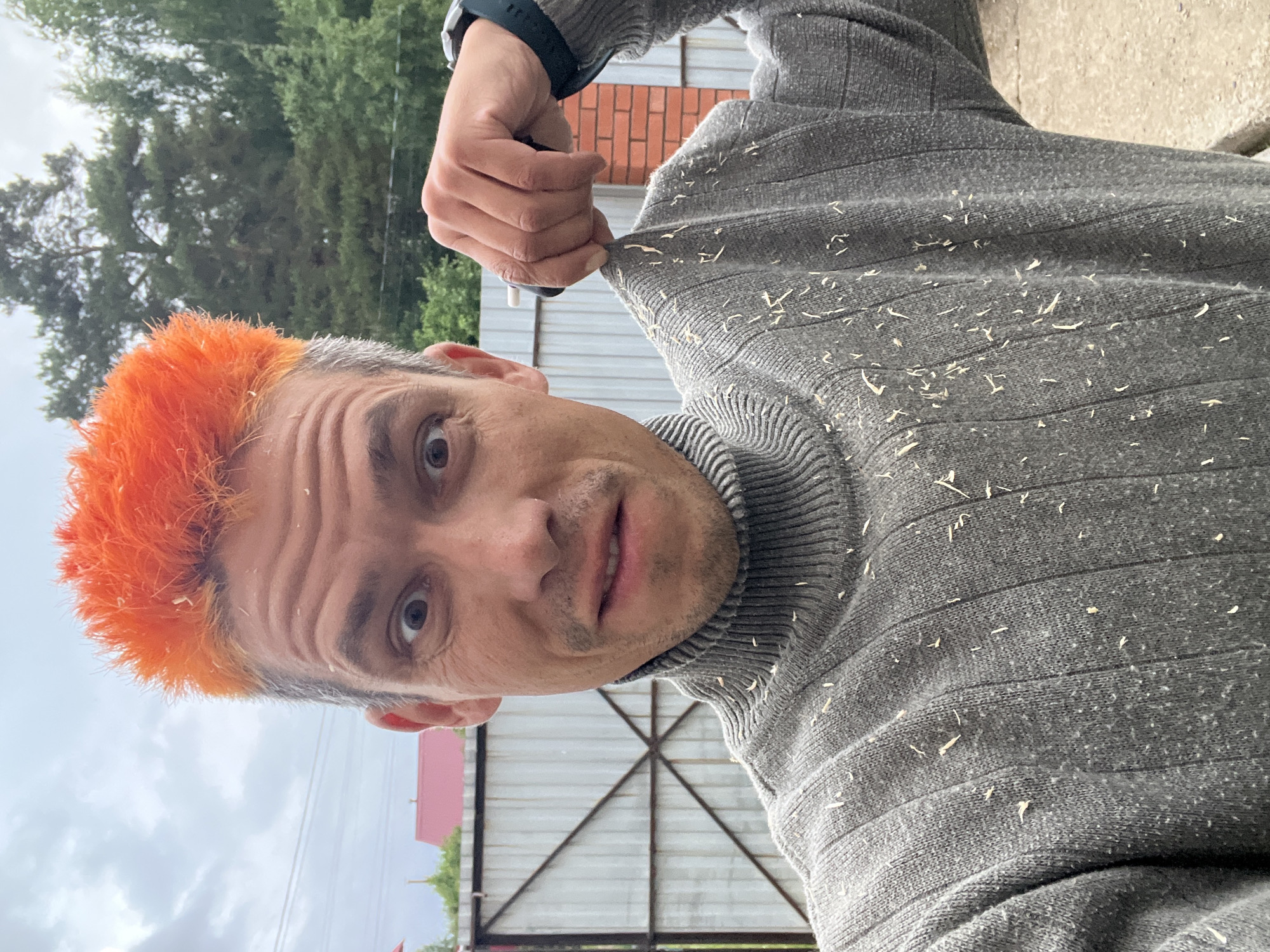 A male individual with strikingly bright orange hair, featuring noticeable gray roots, is shown in a rotated, close-up selfie-style shot taken outdoors. He wears a gray ribbed turtleneck sweater, which, along with his hair, is heavily covered in numerous small, light-colored, flaky particles strongly resembling wood shavings or sawdust. His eyes are wide, and his mouth is slightly open, conveying an expression of surprise or playful curiosity. His right hand is visible, pulling at the collar of his sweater, and a dark watch is on his wrist.
The background reveals an overcast sky, dense green trees, and a tall metal fence structure, possibly indicating a backyard, workshop area, or a semi-rural setting. A glimpse of a red roof is visible in the distance. The presence of debris on his clothing and hair suggests recent engagement in an activity involving wood or similar materials. The time of day appears to be daytime under an overcast sky. The scene is set in Chaikovsky, Russia. There is no visible text in the image.