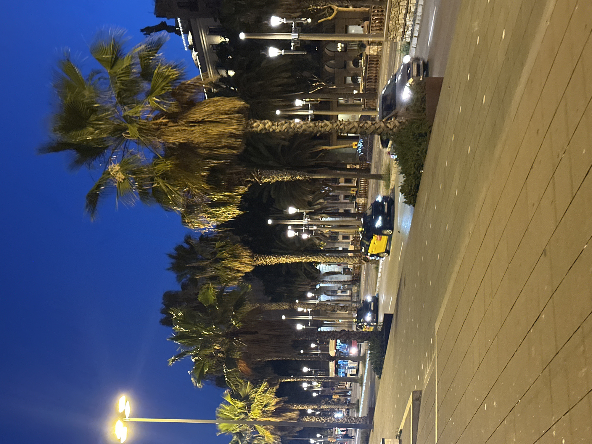 The image captures a nighttime scene on a wide promenade in Barcelona, Spain, likely along the waterfront or a major avenue. Tall palm trees with illuminated fronds line the promenade, casting long shadows and creating a tropical ambiance. A bright streetlamp with multiple bulbs illuminates the foreground, suggesting the area is well-lit for evening activity.
Across a street separating the promenade from a building line, several vehicles are visible, including two yellow and black taxis characteristic of Barcelona, a bus, and at least one other car. The taxis are in motion, indicating traffic flow. In the background, buildings with arched windows and decorative elements are illuminated, contributing to the urban landscape. A statue is visible atop one of the buildings.
The promenade itself is paved with large, rectangular wooden planks, with small, embedded lights dotting the surface. The overall atmosphere is one of a lively urban environment at night, with the palm trees and the sea breeze suggesting a coastal location within the city. There are no discernible people in the foreground, but the presence of vehicles and illuminated buildings implies ongoing activity.