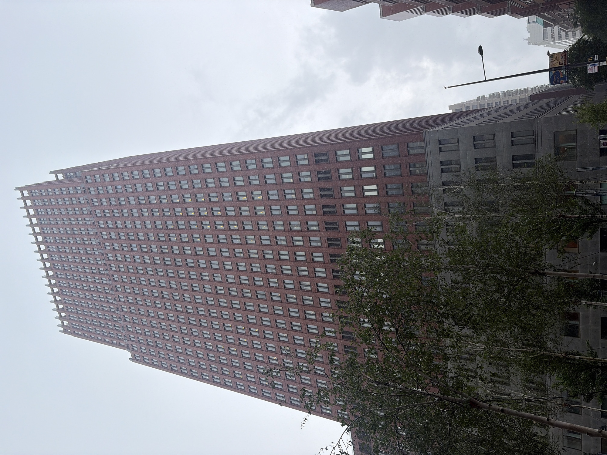 The image displays a tall, slender building in The Hague, Netherlands, characterized by a reddish-brown brick or panel facade adorned with numerous small, uniformly rectangular windows arranged in a grid. The building rises steeply, with its left side featuring an exposed, skeletal structural element, particularly towards the top.
To the right of this dominant structure, a section of another, broader building with a grey, possibly concrete, exterior and differently designed windows is visible. The lower parts of both buildings are partially obscured by the lush, green foliage of trees in the foreground.
The weather is overcast, with a uniformly light grey sky dominating the background. Faint white specks, noticeable across the darker building surfaces, suggest falling snow or fine rain, indicating cool or inclement conditions during daytime.
The scene is an urban landscape, featuring typical street furniture. A street lamp with a long horizontal arm extends into the frame above the grey building. Attached to the lamp pole are signs, including a clearly visible yellow "M" logo for McDonald's. Another blue sign above it contains text that is largely unreadable. No people or specific activities are present, lending a quiet, static quality to the cityscape.