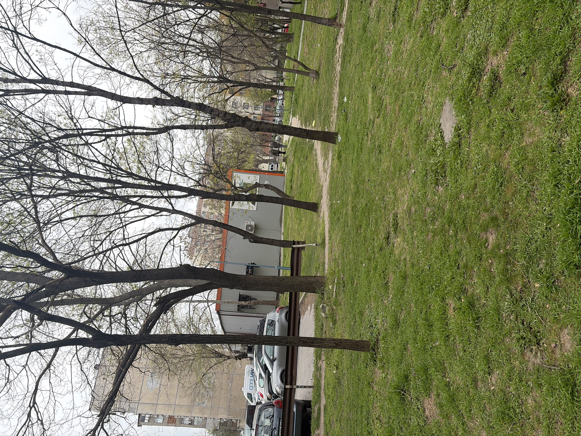 The image shows a park in Plovdiv, Bulgaria, adjacent to a street. A row of trees with bare branches lines the edge of the park along the street. The park is covered in green grass. Several parked cars are visible along the street, including at least one van with the words "COOL VAN" on its side. There's a building with a grey-orange exterior along the street as well. A few distant buildings can be seen behind the trees and building. The sky is overcast.