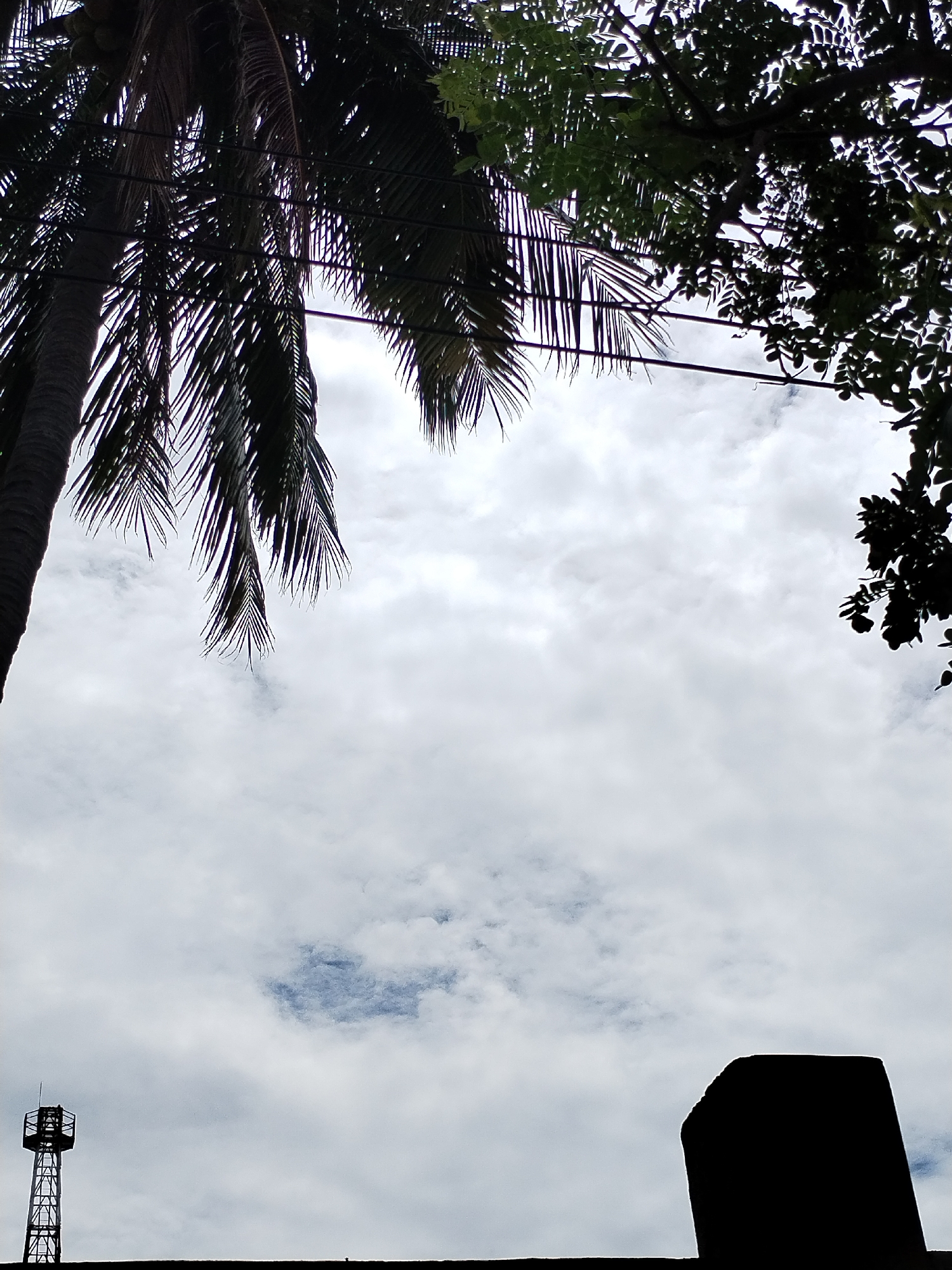 This image captures a low-angle perspective looking up towards a cloudy sky in Nha Trang Ward, Vietnam. The sky is largely covered by white and light grey clouds, suggesting an overcast or partly cloudy daytime, with a small glimpse of clearer blue sky in the middle-left.
Dominating the left and top-center is the silhouette of a tall coconut palm tree, its thick trunk visible on the far left and its long, feathery fronds extending across the upper portion of the frame. Small, dark, round shapes, possibly coconuts, are discernible among the fronds. In the top-right corner, another tree with denser, smaller leaves also forms a dark silhouette against the sky.
Several thin, dark horizontal lines, indicative of power or utility cables, stretch across the upper-middle section of the image, running through and beneath the tree foliage.
At the bottom-left, a metal lattice tower is silhouetted, featuring a structural framework with a platform at its top. On the bottom-right, a large, dark, block-like form, possibly a part of a building or a sturdy wall, rises from the edge of the frame, also rendered in silhouette. A dark, horizontal line spans the bottom of the image, providing a visual base for these structures, likely representing a rooftop or a wall from which the photo was taken.
The scene is a static outdoor view, showing a blend of natural tropical vegetation and urban infrastructure. No specific activity or event is taking place, and no visible text is present.