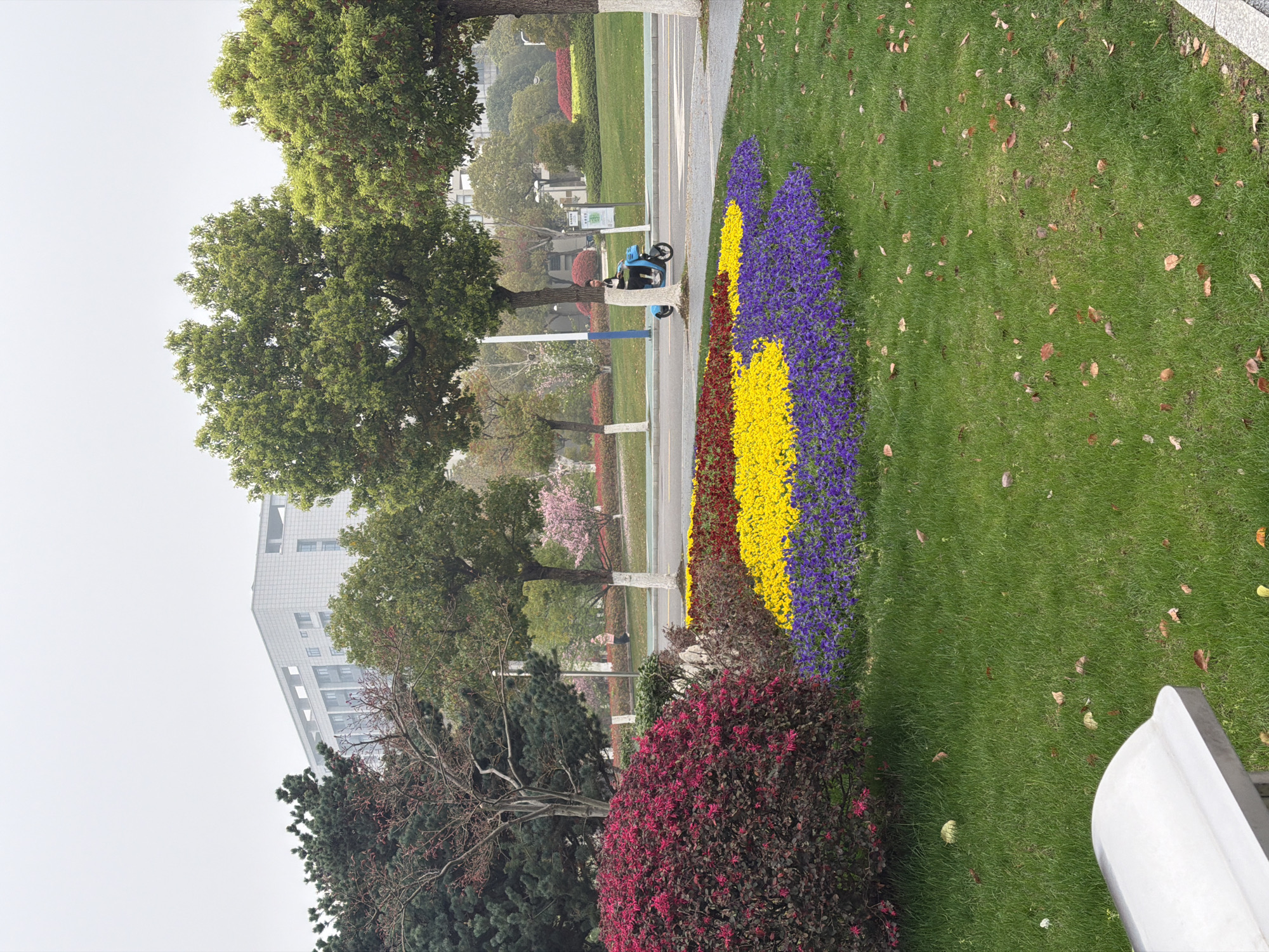 A park scene in Jiangning District, China, features a lawn with scattered leaves adjacent to a paved pathway. A flowerbed arranged in vertical stripes of purple, yellow, and red sits beside the pathway. A scooter is parked on the pathway. Various trees and shrubs are present, including flowering bushes with pink blossoms. A tall building is visible in the background under a cloudy sky. A portion of a white object, possibly a bench or statue, is visible in the foreground.
