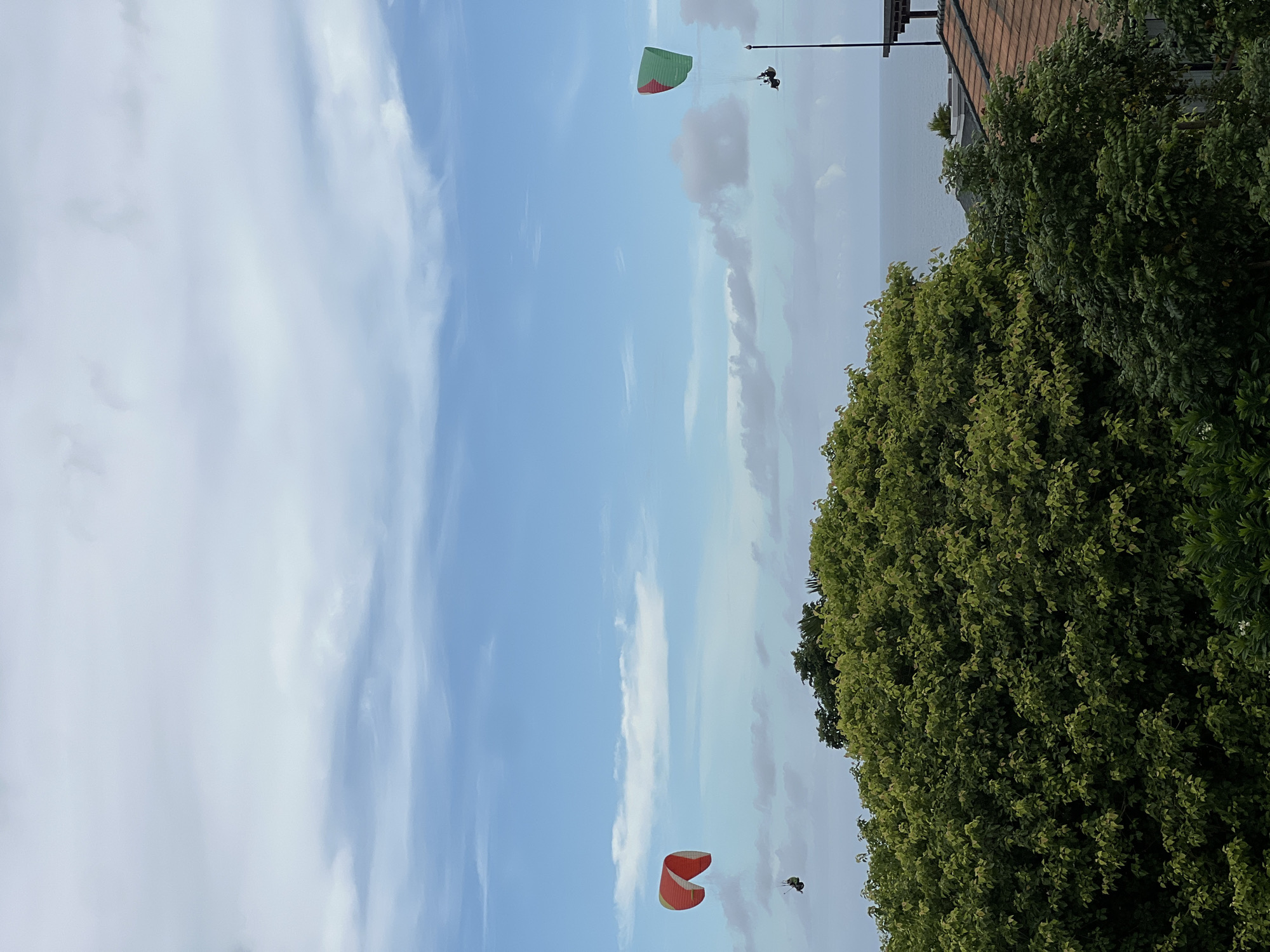 The image is presented in a vertical orientation, capturing an expansive outdoor scene. If viewed horizontally (rotated 90 degrees counter-clockwise), the upper portion is dominated by a bright blue sky, adorned with scattered white cumulus and wispy cirrus clouds.
Two paragliders are visible, actively airborne. In the lower left area of this rotated view, one paraglider features a distinctive orange and red canopy, with its pilot, a small dark figure, suspended underneath. Further to the right and slightly higher in the sky, a second paraglider with a green and red canopy is visible, also carrying a pilot. The activity appears to be paragliding or paramotoring. A dark, thin pole extends upwards from the mid-right side of the image, reaching towards the green and red paraglider.
The bottom half of the scene is filled with dense, lush green foliage from numerous trees, suggesting a verdant natural landscape, possibly an elevated terrain. Beyond the trees and stretching towards the horizon lies a calm body of water, likely an ocean or a large lake, under a slightly hazier sky. A section of a building with a reddish-brown tiled roof is partially visible in the upper right corner, situated above the tree line and near the water.
The scene is brightly lit, indicating it is daytime, likely late morning or afternoon, under clear and sunny weather conditions. No discernible text is visible within the image.