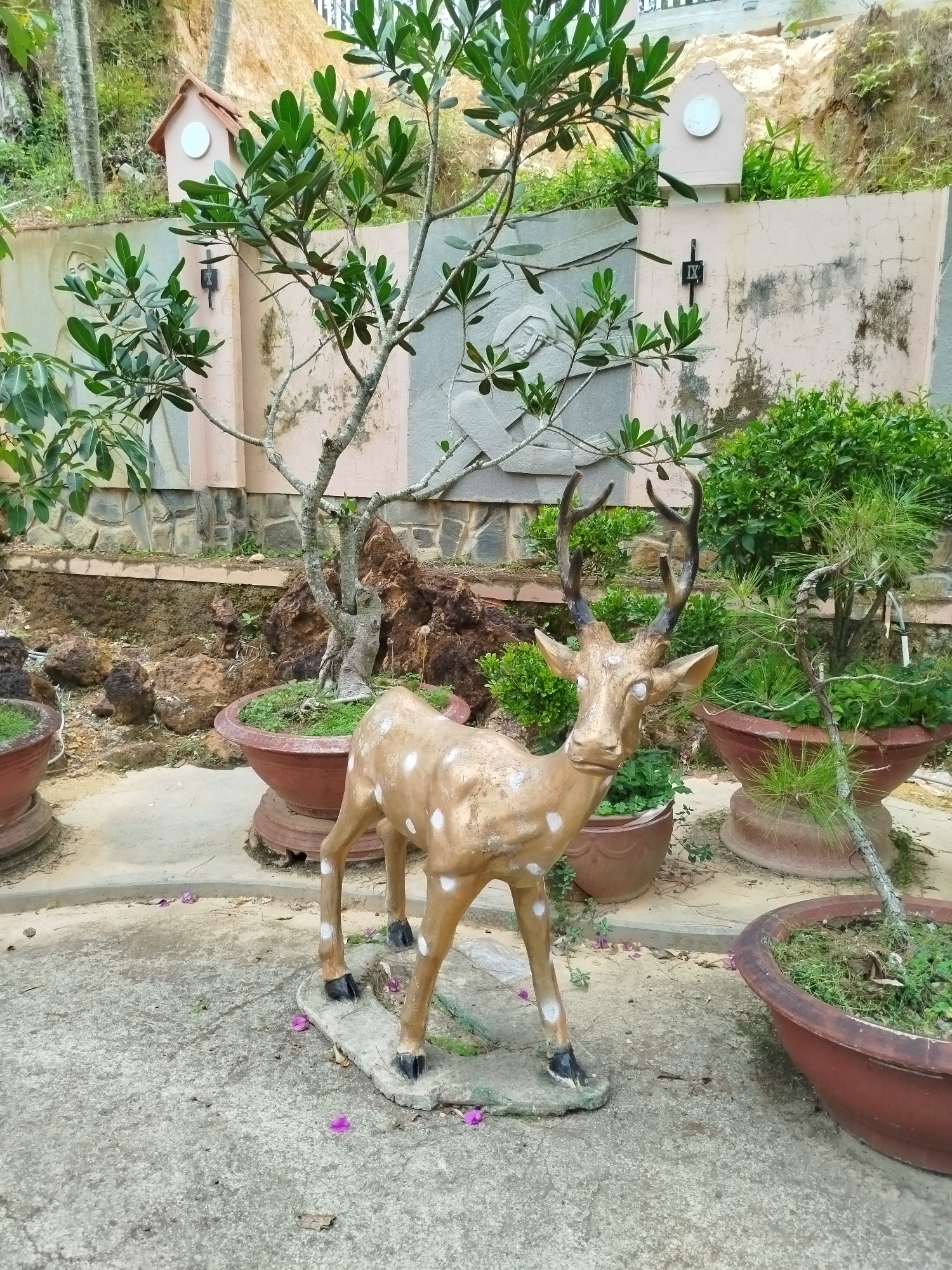 A full shot of a deer statue in a garden setting, presumed to be in Lang Biang - Đà Lạt, Vietnam. The deer is light brown with white spots and black hooves, standing on a small, flat, stone base. The statue is positioned on a concrete ground surface speckled with fallen purple flowers. Behind the deer is a mature tree with dense green foliage in a large terracotta pot. Other terracotta pots containing various plants surround the deer. The background consists of a low wall constructed from stone and stucco, featuring a bas-relief sculpture. Above the wall, a small decorative structure resembling a miniature house stands on either side of the relief. The overall environment suggests a well-maintained garden or park.