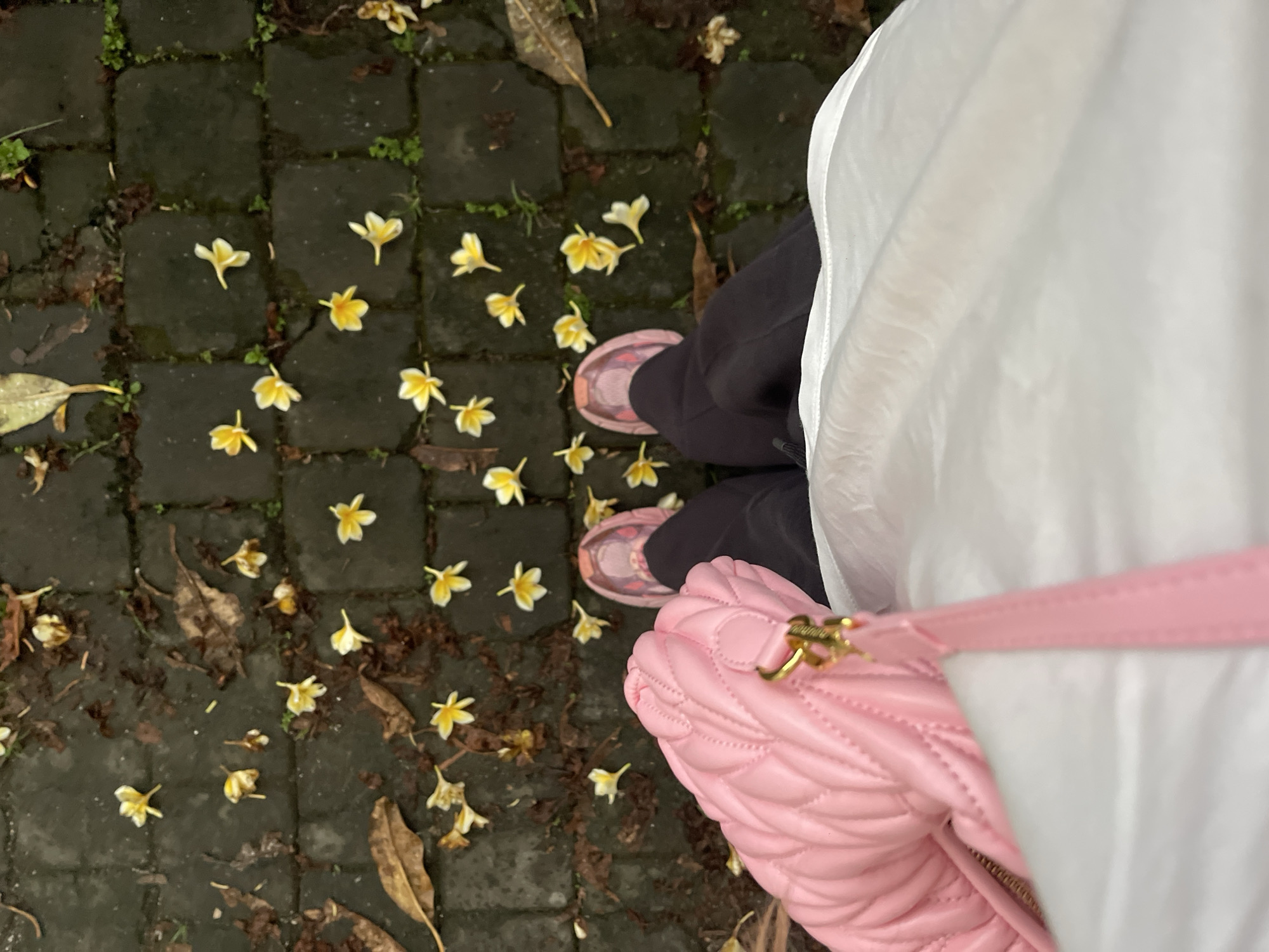 The image depicts a top-down view of a person standing on a stone-tiled path in North Kuta, Indonesia, littered with fallen white and yellow flowers, along with dry leaves. The person is wearing dark pants and pink sneakers. A pink quilted handbag with gold hardware is held by a strap over their shoulder. The scene suggests a natural outdoor setting, possibly after rain given the damp appearance of the stone tiles.