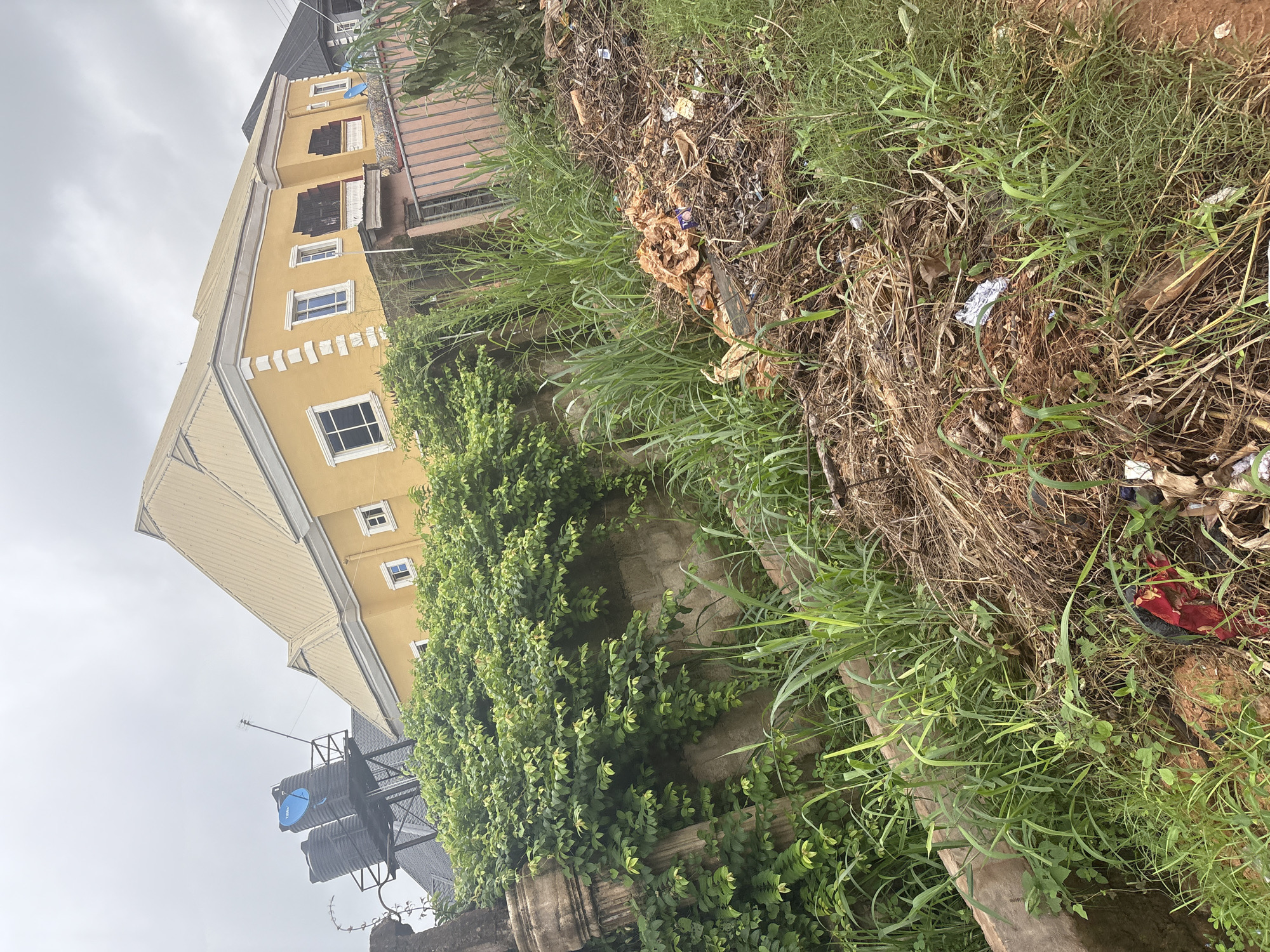 The image depicts a yellow building with a cream-colored roof situated in Obosi, Nigeria. The building features multiple windows and a balcony. In the foreground, there is a large pile of dry grass, straw, and what appears to be trash, including plastic bags and wrappers. Tall green grass and various plants surround the debris. Behind the pile of debris, a concrete wall is visible, covered with dense green foliage. To the left of the wall, a large water tank system stands on a metal structure. A pink metal fence is also present in the scene. The sky is overcast with clouds. The scene appears to be an outdoor environment with signs of neglect due to the accumulated waste.