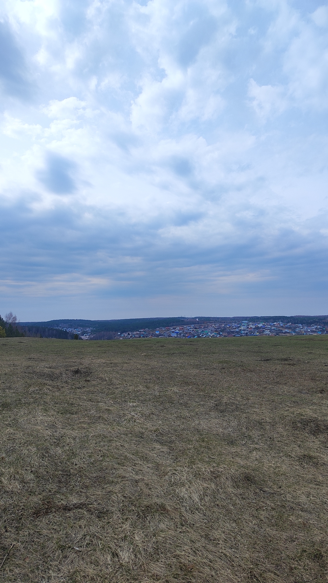 The image shows a landscape scene in Ольховка, Russia. A field of dry, brown grass occupies the foreground. In the midground, there is a line of trees and a distant view of houses in a village or town. The sky is overcast with blue and white clouds. There are no people visible in the image. The scene appears to be rural.