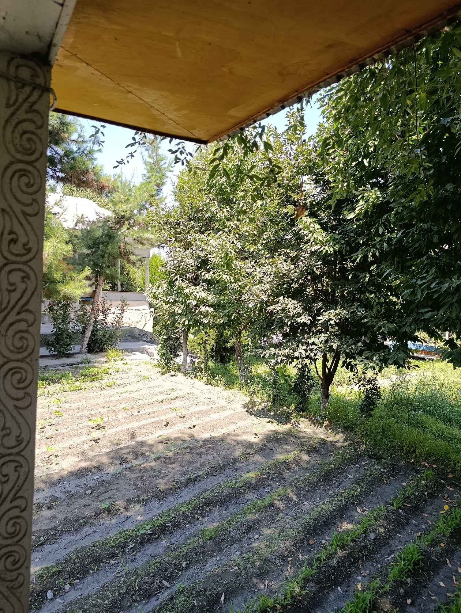 The image depicts an outdoor scene, likely a garden or yard, viewed from under a covered patio or porch. In the foreground, a decorative pillar with a spiraling pattern is visible on the left. The ground is a mix of soil and grass, with neatly tilled rows indicating a garden bed. Young plants are emerging in some of these rows. Behind the garden bed, several trees with lush green foliage are present. In the background, a white gazebo or pavilion structure can be seen, surrounded by more trees and vegetation. The sky is visible through the canopy of the trees, suggesting a clear day. The overall impression is one of a peaceful, rural or semi-rural setting.