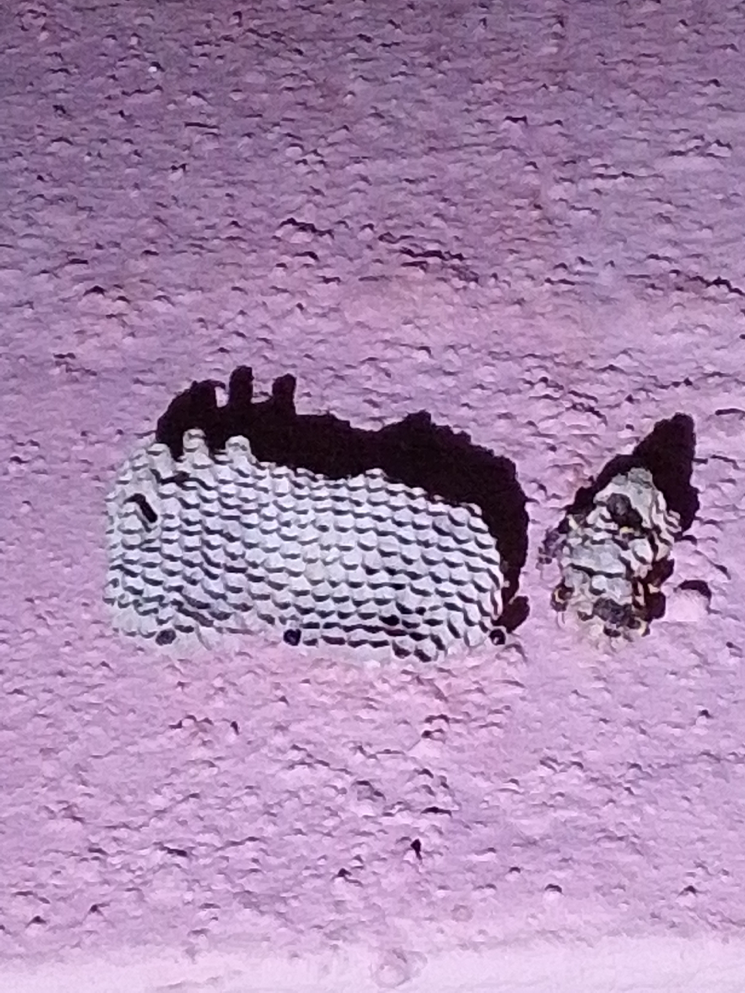 The image shows two objects on a textured, light purple surface, possibly a wall or ground. The object on the left is a white, cylindrical structure with horizontal black lines creating a scaled pattern. It has a dark shadow cast behind it, and the top edge appears serrated or uneven. The object on the right is smaller, irregular in shape, and mottled with grey and black colors. It also casts a shadow. The overall lighting suggests it is outdoors, and the texture of the surface could indicate it is a weathered or rough material. The location within Serti, Nigeria is not discernible from the visual information provided.