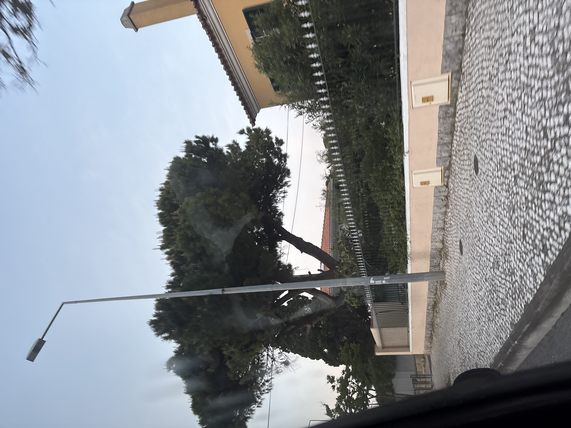A view from within a vehicle captures a street scene in the city of Unknown, Unknown. On the right side of the image, a sidewalk paved with tessellated stones runs alongside a low wall, which has two small, rectangular structures embedded in it, likely mailboxes. Behind the wall is a metal fence interspersed with greenery. Beyond the fence, a house with a reddish-orange roof and tan walls is visible. On the left, a large, leafy tree dominates the scene, partially obscuring a street lamp with a simple, rectangular fixture. The sky is overcast. The photograph appears to have been taken from inside a vehicle, with part of the car's dashboard or interior visible at the bottom of the frame.