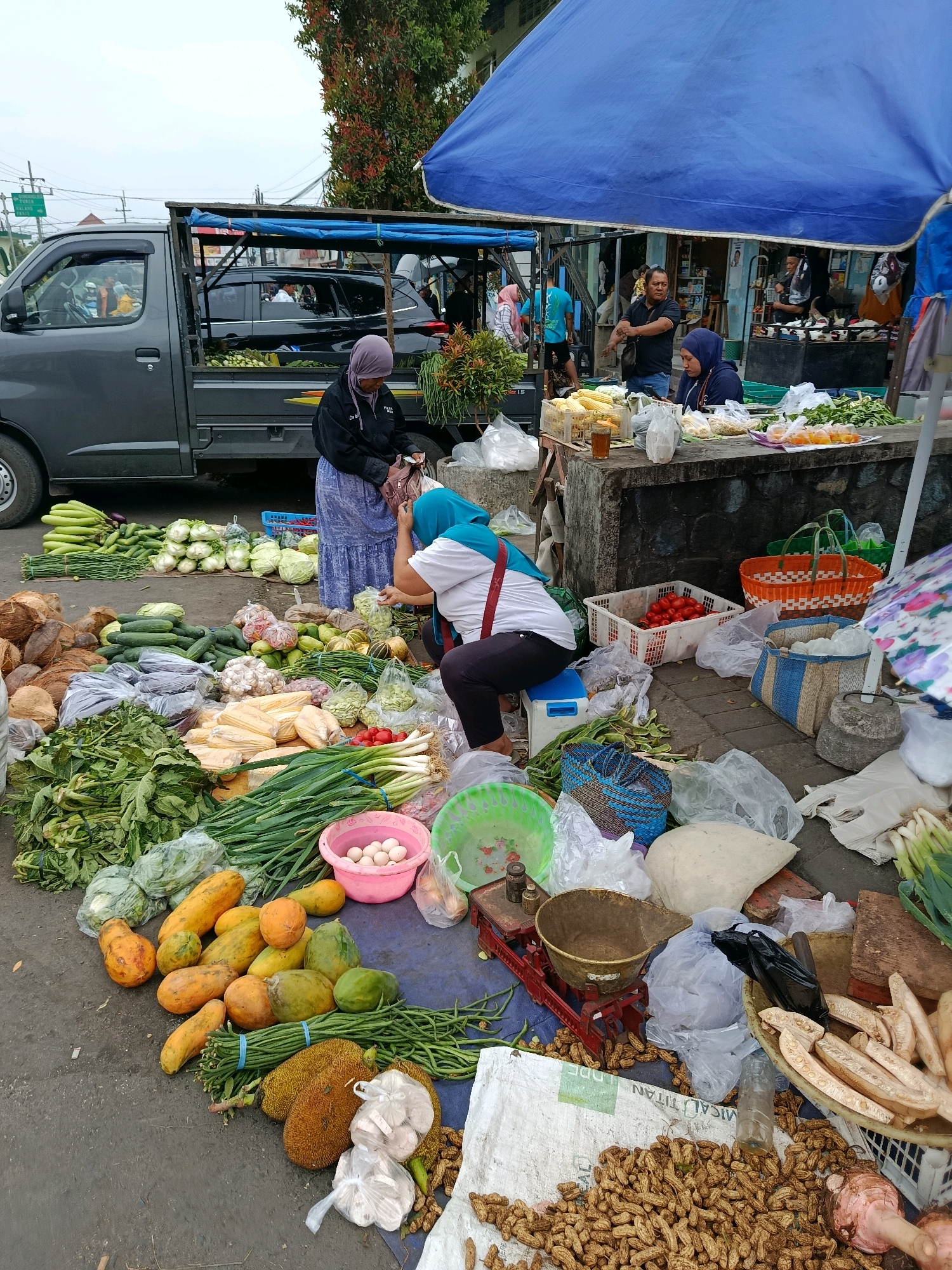 In Bululawang, Indonesia, a street market bustles with activity as vendors display a colorful array of fresh produce. The scene captures the vibrant life of a local market, with a variety of fruits and vegetables spread across tarps and tables.
At the forefront, a selection of ripe papayas, long beans, and what appear to be jackfruit are meticulously arranged. Nearby, a pile of peanuts spills out of a woven basket, adding a rustic charm to the display. Other produce includes cabbages, eggplants, corn, and tomatoes, each contributing to the rich tapestry of colors and textures.
Two women are actively engaged in the market. One, wearing a blue hijab, appears to be attending to her stall, while another, in a purple hijab, is in the process of handling produce. A gray truck, likely used for transportation, is parked nearby, suggesting the ongoing flow of goods and commerce.
The market is shaded by a large blue canopy, providing a respite from the sun. In the background, a few other individuals are visible, their presence adding to the lively atmosphere of the market. The ground is a mix of pavement and dirt, indicative of a typical street market setting. The overall impression is one of a thriving local economy, where fresh produce is readily available and the community gathers to exchange goods and socialize.