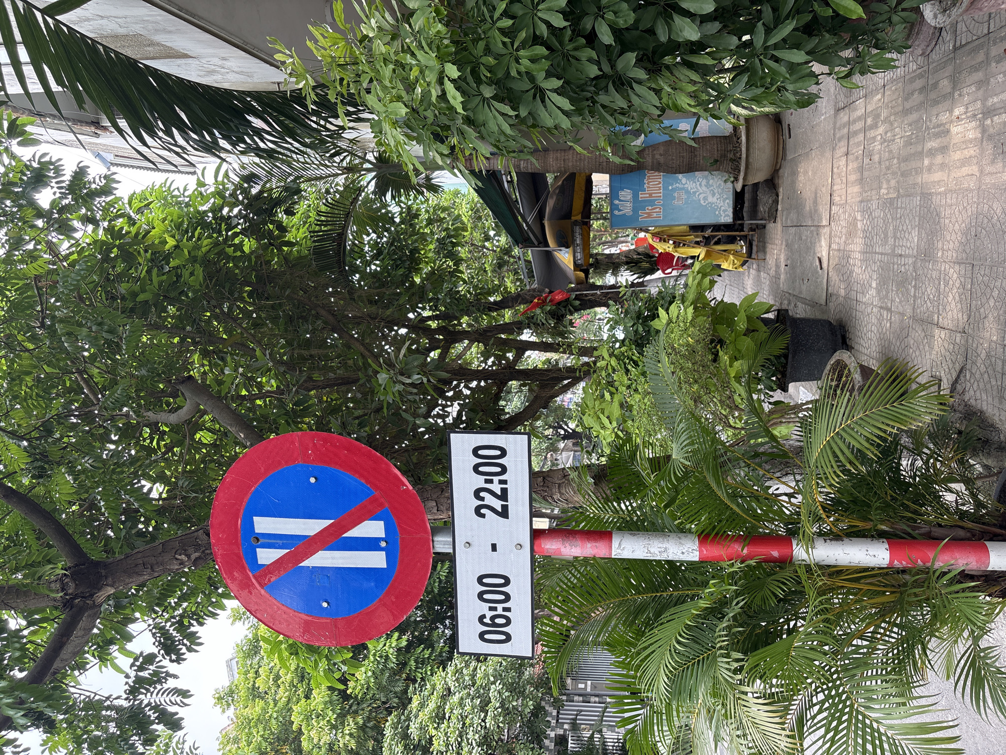 The image shows a Vietnamese street scene, likely in Đà Nẵng, based on the vegetation and sign style. In the foreground is a no-parking sign, displaying a blue circle with a red border and two horizontal white bars. A rectangular sign below indicates the restriction is in effect from 06:00 to 22:00. The sign is mounted on a red and white striped pole. The sign is partially obscured by foliage. In the background, a sidewalk is visible, with some potted plants, a utility cart with a vendor sign leaning on it, and some trees. The setting is urban, with building elements visible.
