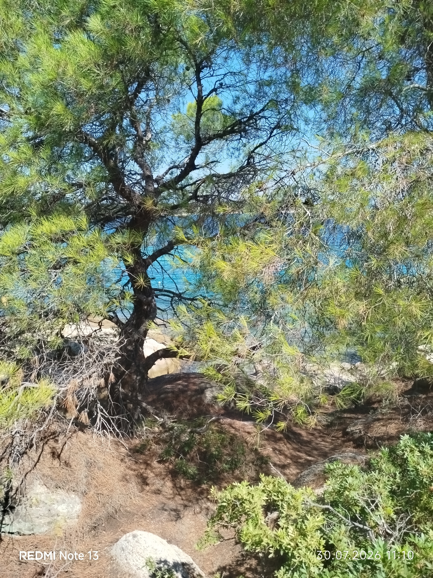 The image shows a coastal scene with a large pine tree in the foreground, its branches extending over a rocky, sandy area. The sea, with its clear blue water, is visible in the background, beyond the tree. The sun appears to be shining, casting shadows through the pine needles and branches. There are no people or animals visible in the scene. The lower left corner of the image displays the text "REDMI Note 13", and the lower right corner shows "30.07.2026 11:10". This appears to be a natural landscape setting, likely in the Sithonia Municipal Unit of Greece, given the presence of pine trees and the blue sea characteristic of the Aegean coast.