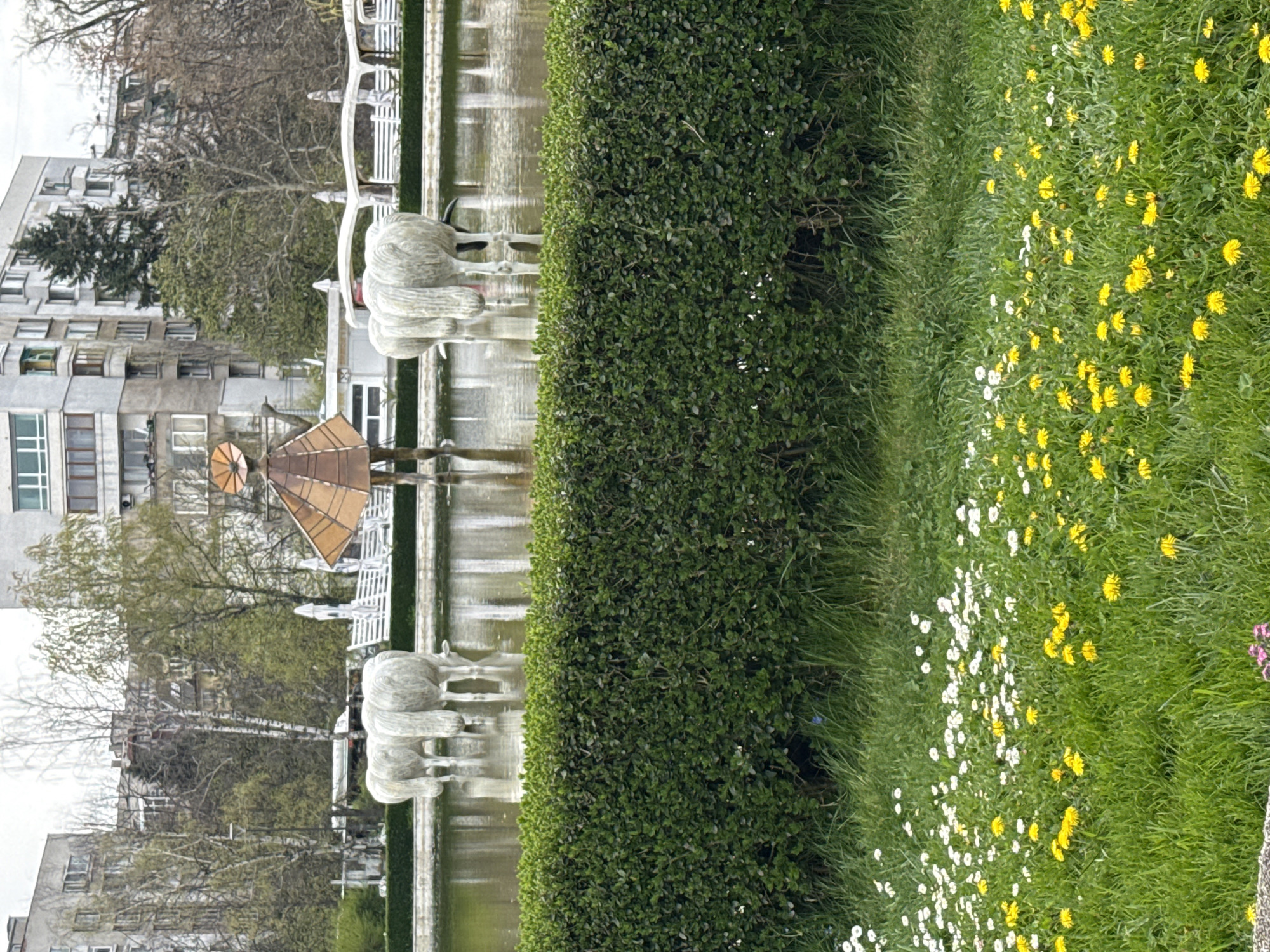 The image depicts a serene urban park or garden scene on an overcast day. In the foreground, a vibrant green lawn is covered with a mix of yellow dandelions and white daisies. Separating this grassy area from the mid-ground is a neat, dense green hedge running horizontally across the frame.
Beyond the hedge, a rectangular water feature, possibly a fountain or pond, occupies the middle ground. Several light-colored, stylized sculptures resembling sheep or goats are positioned along its edge. The water surface reflects the surrounding elements. On the far side of the water feature, white benches or decorative fencing are visible.
The background is dominated by multi-story apartment buildings, characterized by their functional, blocky architecture and numerous windows. Trees, some still bare and others showing early foliage, are interspersed between the buildings and the water feature, suggesting late spring or early summer. A distinctive, multi-faceted structure with a coppery-brown roof, possibly a gazebo or decorative shelter, can be seen behind the sculptures on the left.
The scene is devoid of people or visible activity, presenting a tranquil, static view of a public green space integrated into an urban environment. The lighting is soft and diffuse, consistent with an overcast sky during daytime. No discernible text is visible anywhere in the image.