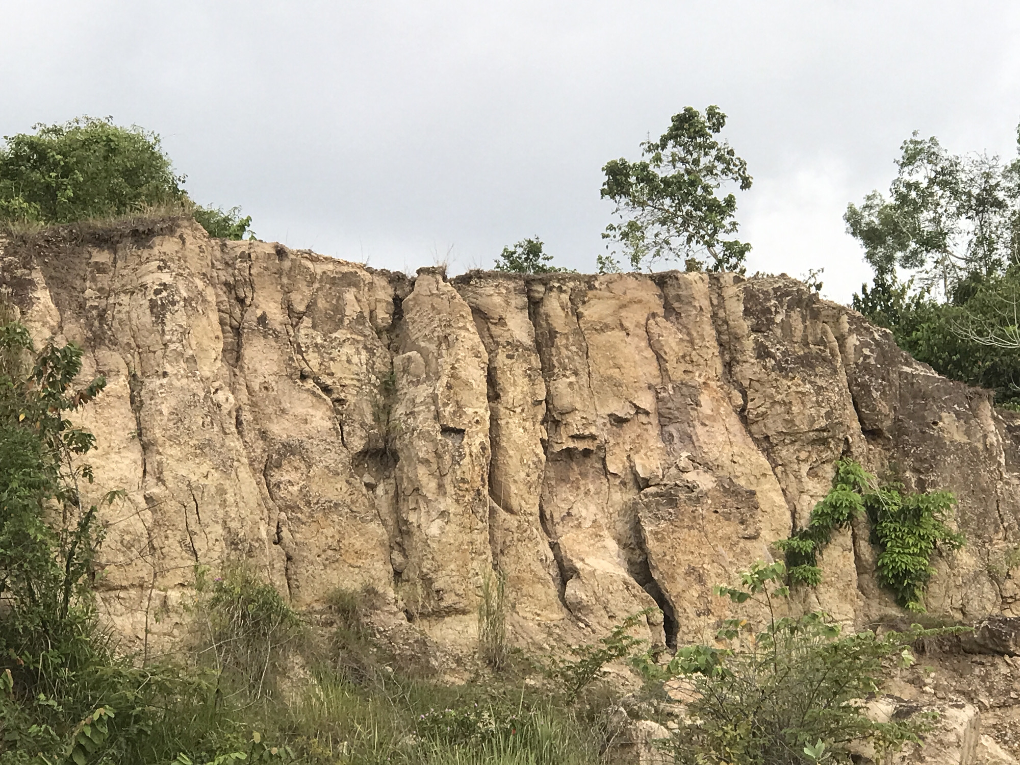The image depicts a rocky cliff face with vegetation growing on top and at its base, located near Lhokseumawe, Indonesia. The cliff consists of light brown to tan colored rock formations with vertical fissures or fractures running along its surface. The rock appears weathered and uneven in texture. Patches of green vegetation are visible along the top edge of the cliff, as well as sporadic plants and small trees growing on the cliff face itself. The base of the cliff is covered with a mix of grasses, shrubs, and small plants. The sky is overcast and gray. No people, animals, or other distinct objects are visible within the frame.