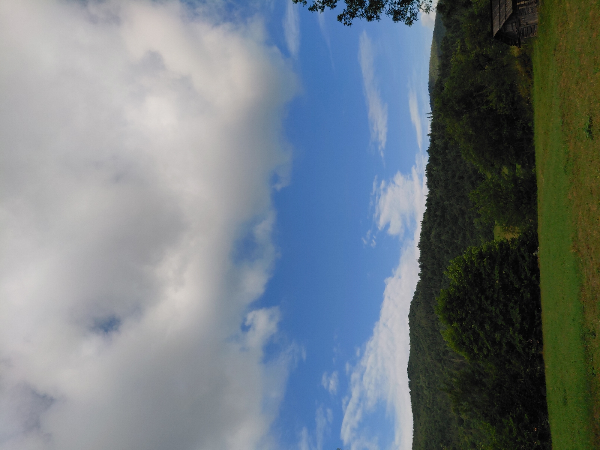 The image depicts a rural landscape with a dense, tree-covered hillside in the background. In the foreground, there is a grassy field, and to the right, a small, rustic wooden structure is visible. The sky is blue with scattered clouds. The scene appears to be located in the city of Chernyk, Ukraine.