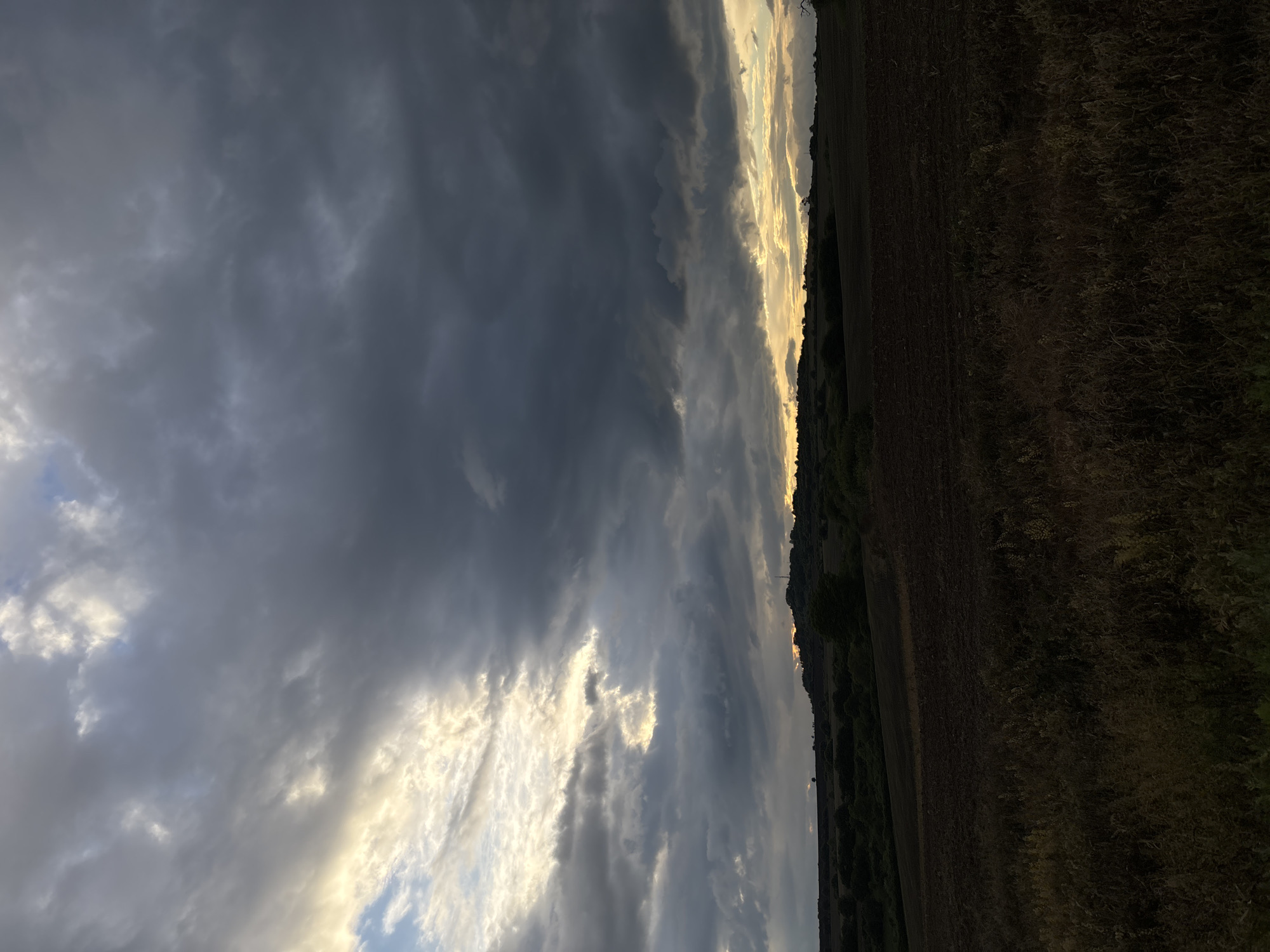 The image shows a landscape under a dramatic sky. The sky is filled with dark, ominous storm clouds, with patches of light breaking through, illuminating sections of the clouds with a golden hue. Below the sky is a field, partially tilled, suggesting agricultural activity. The field transitions into what appears to be a grassy area. The location seems to be rural, with no clear signs of urban development. It is hard to confirm that the image is from Golema Rakovitsa, Bulgaria, without additional information or landmarks present in the image.